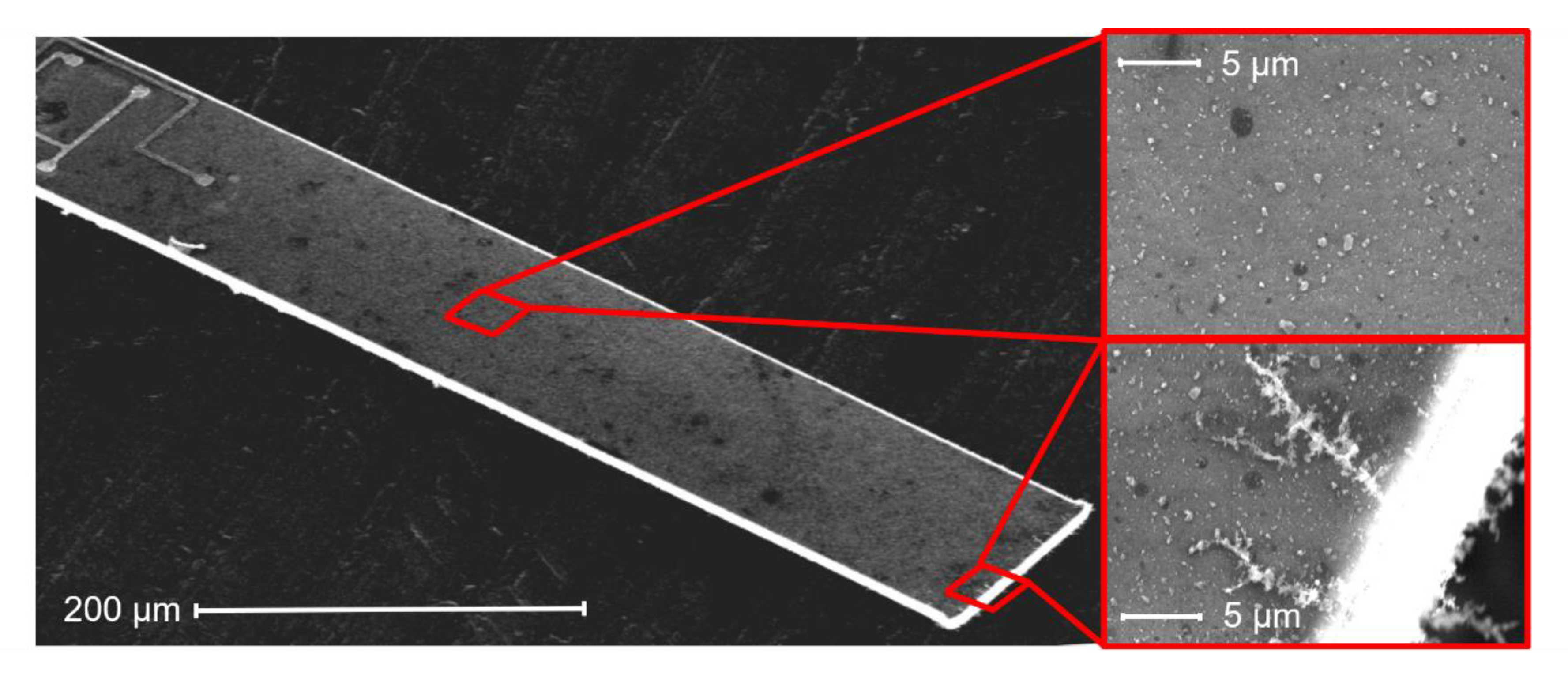 Sensors 20 00618 g012