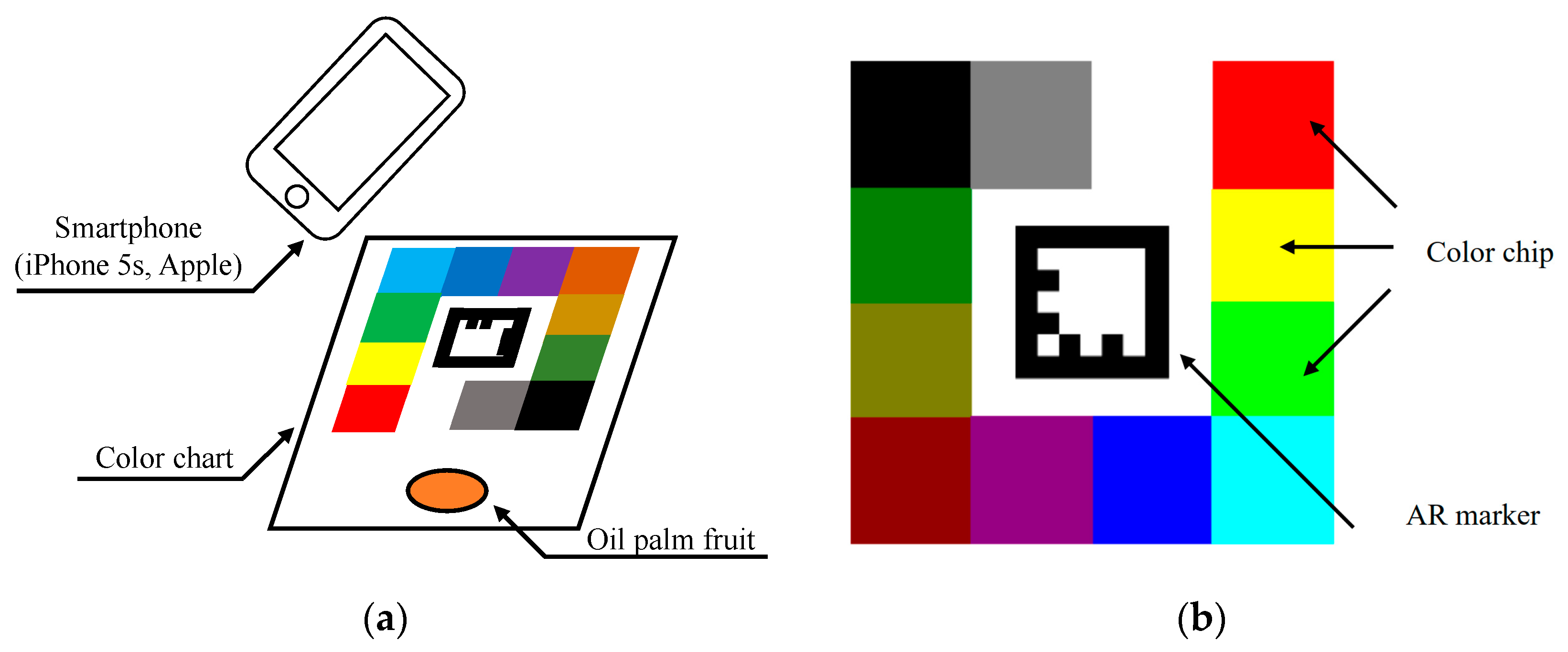Sensors 20 00637 g004 Sensors 20 00637 g004