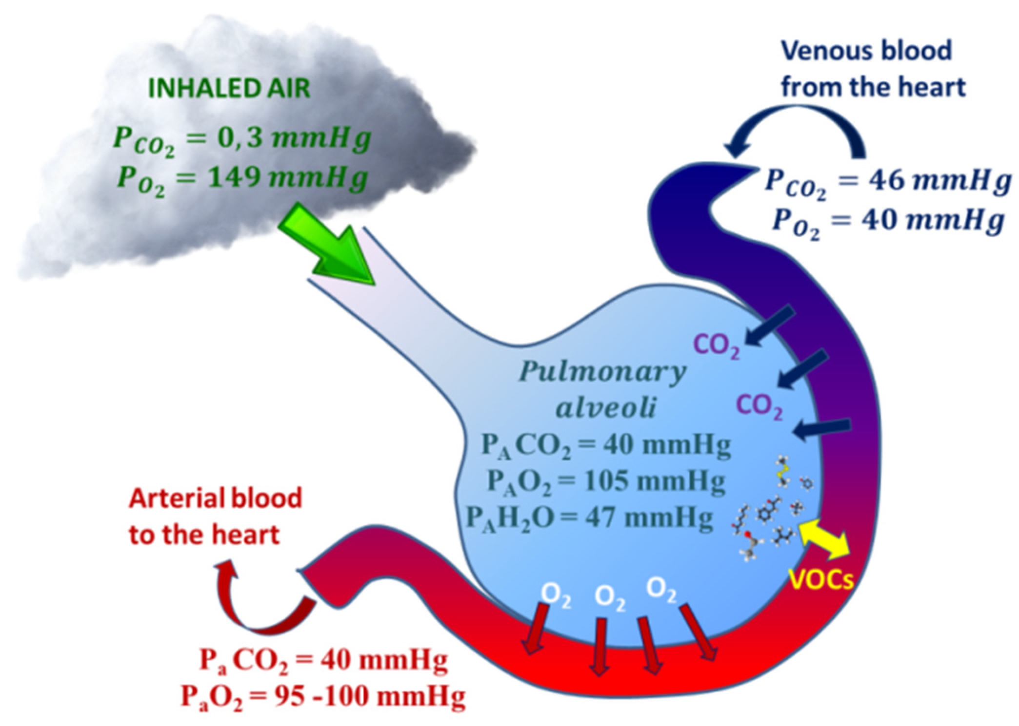 Sensors 20 00653 g001
