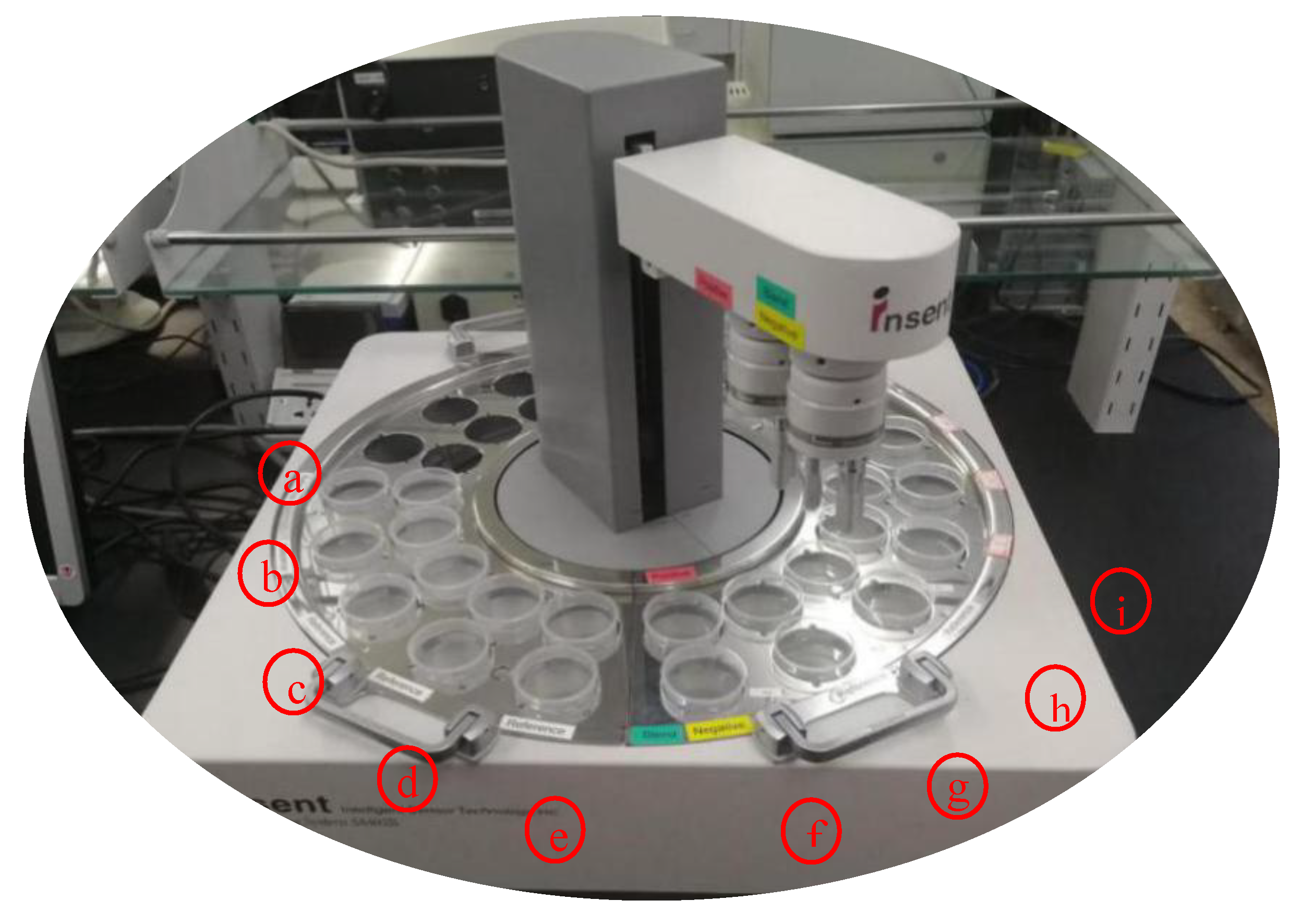 Sensors 20 00686 g001 Sensors 20 00686 g001