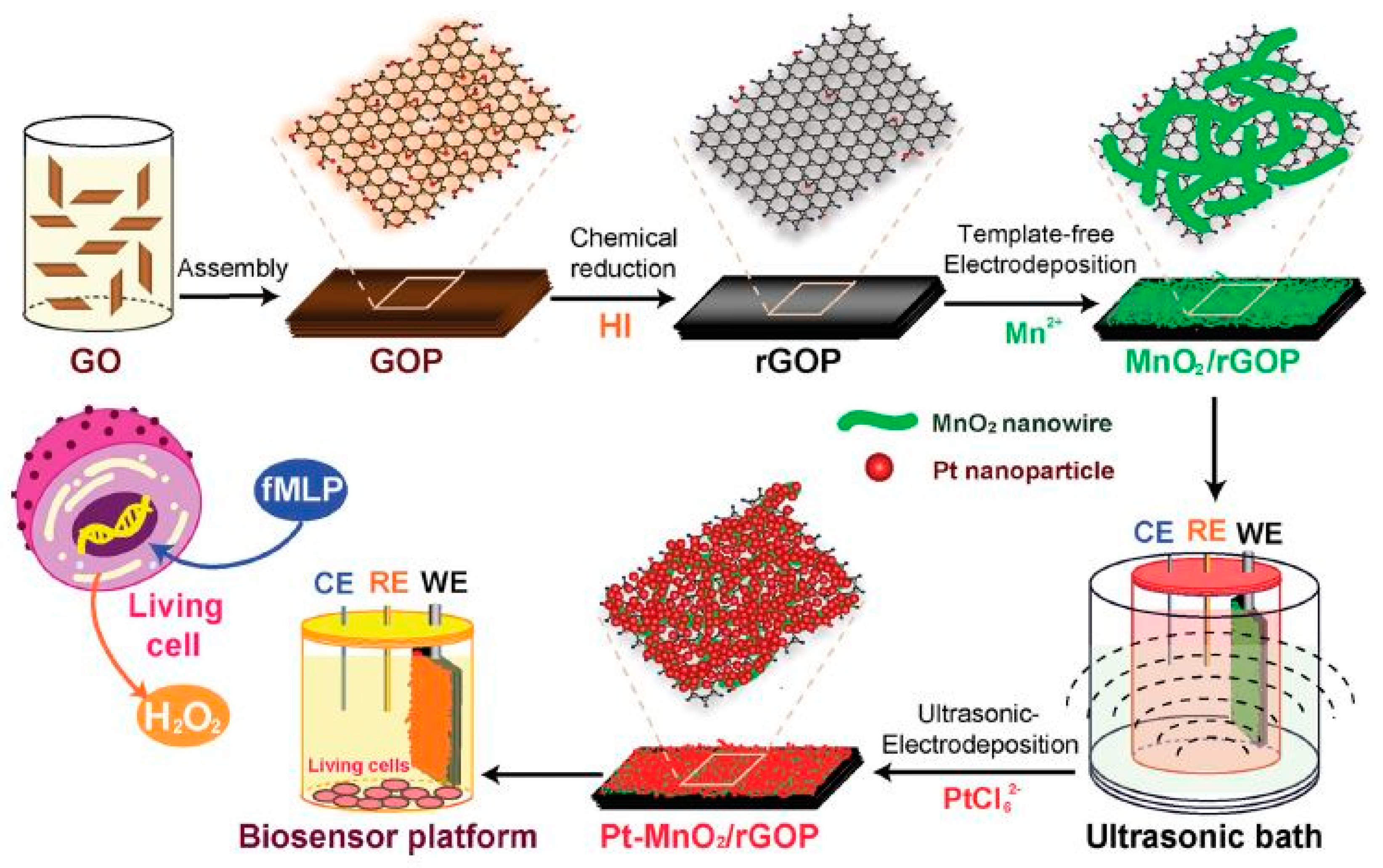 Sensors 20 00703 g006