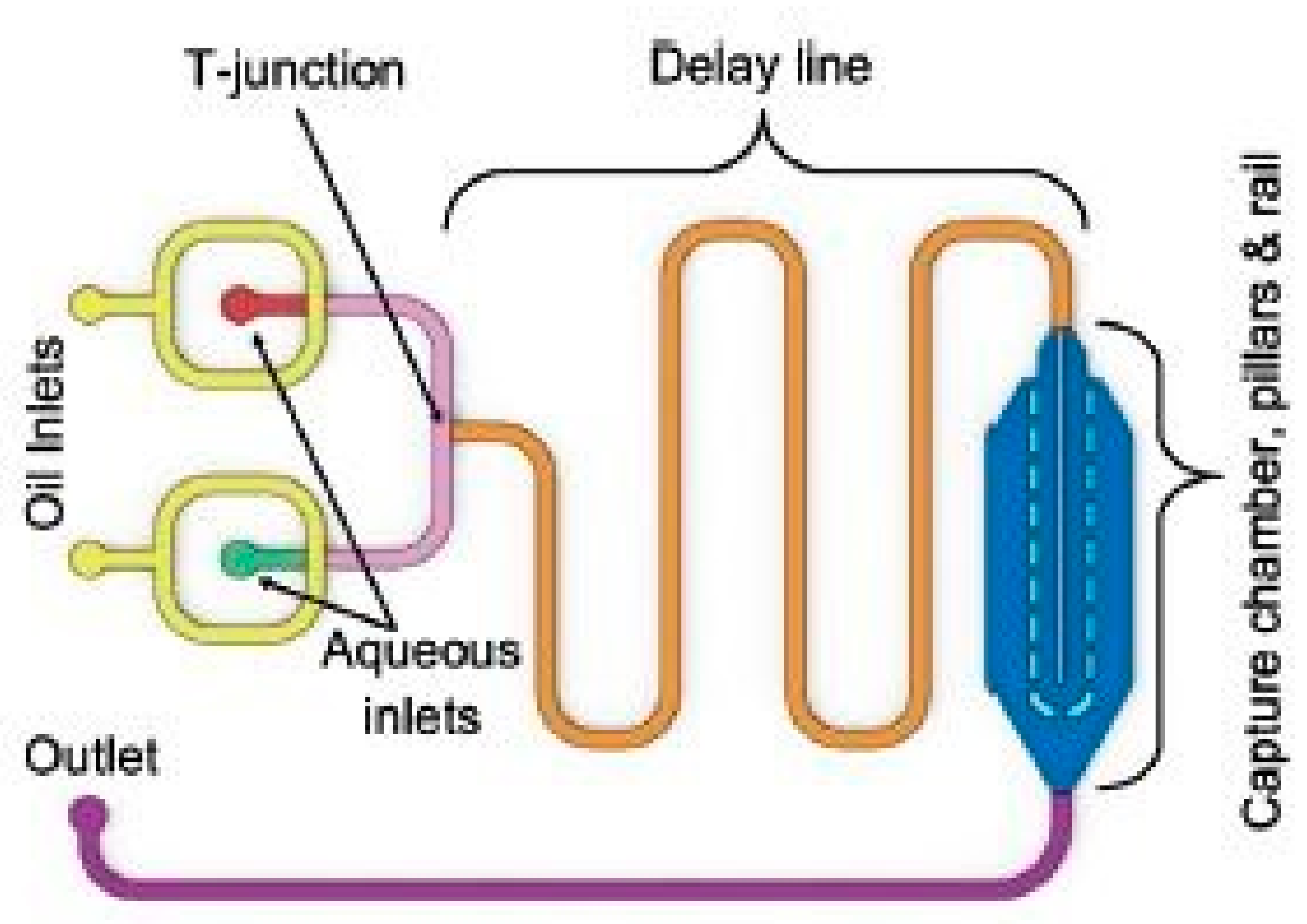 Sensors 20 00703 g013