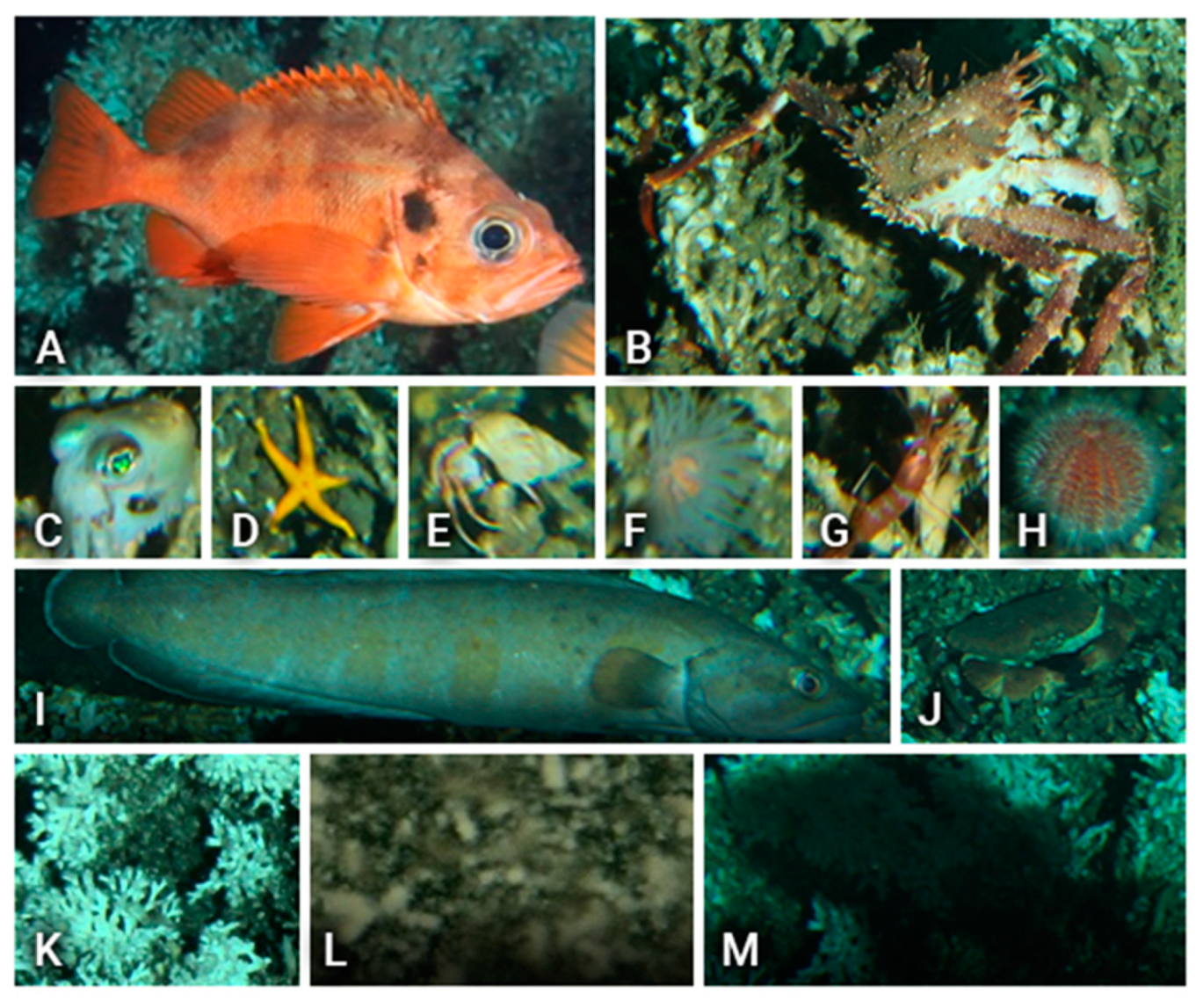 Sensors 20 00726 g002