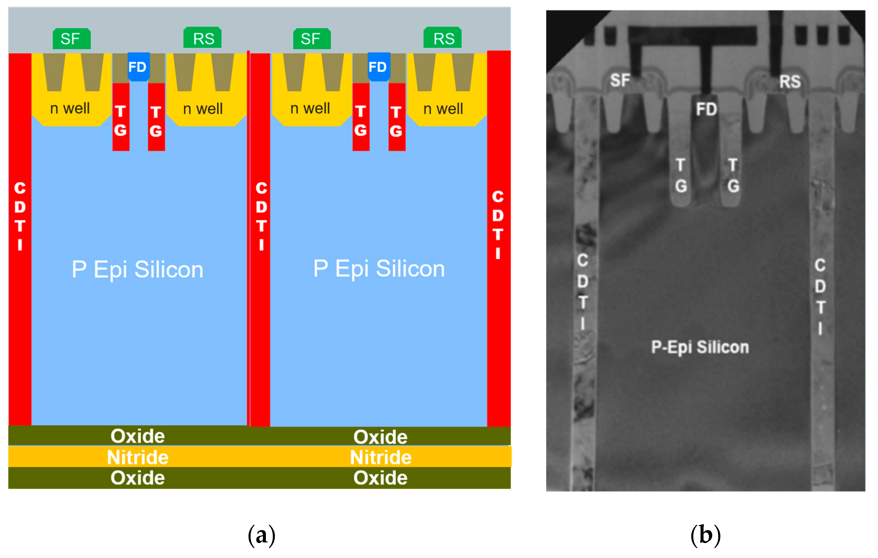 Sensors 20 00727 g001