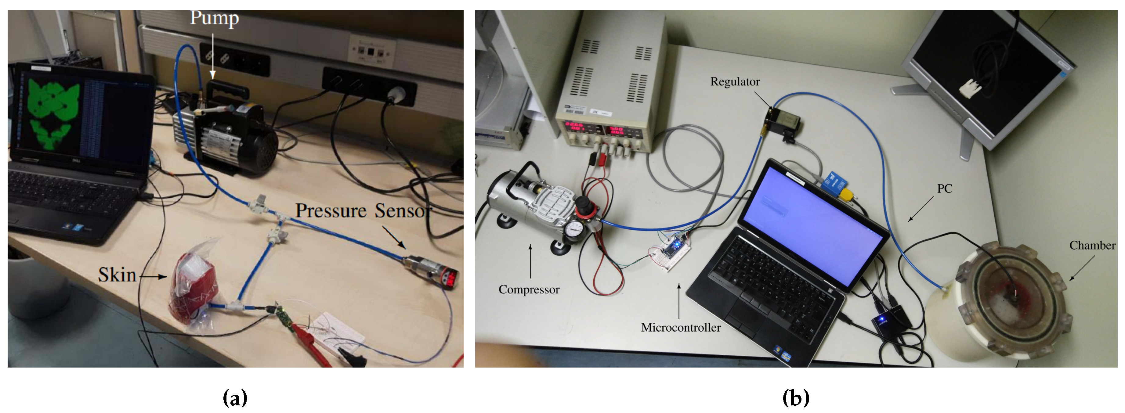 Sensors 20 00747 g003