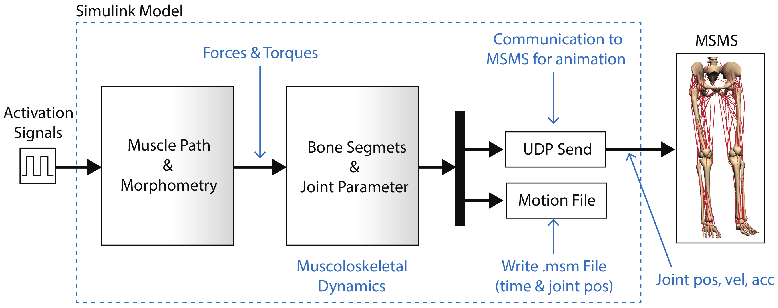 Sensors 20 00789 g007