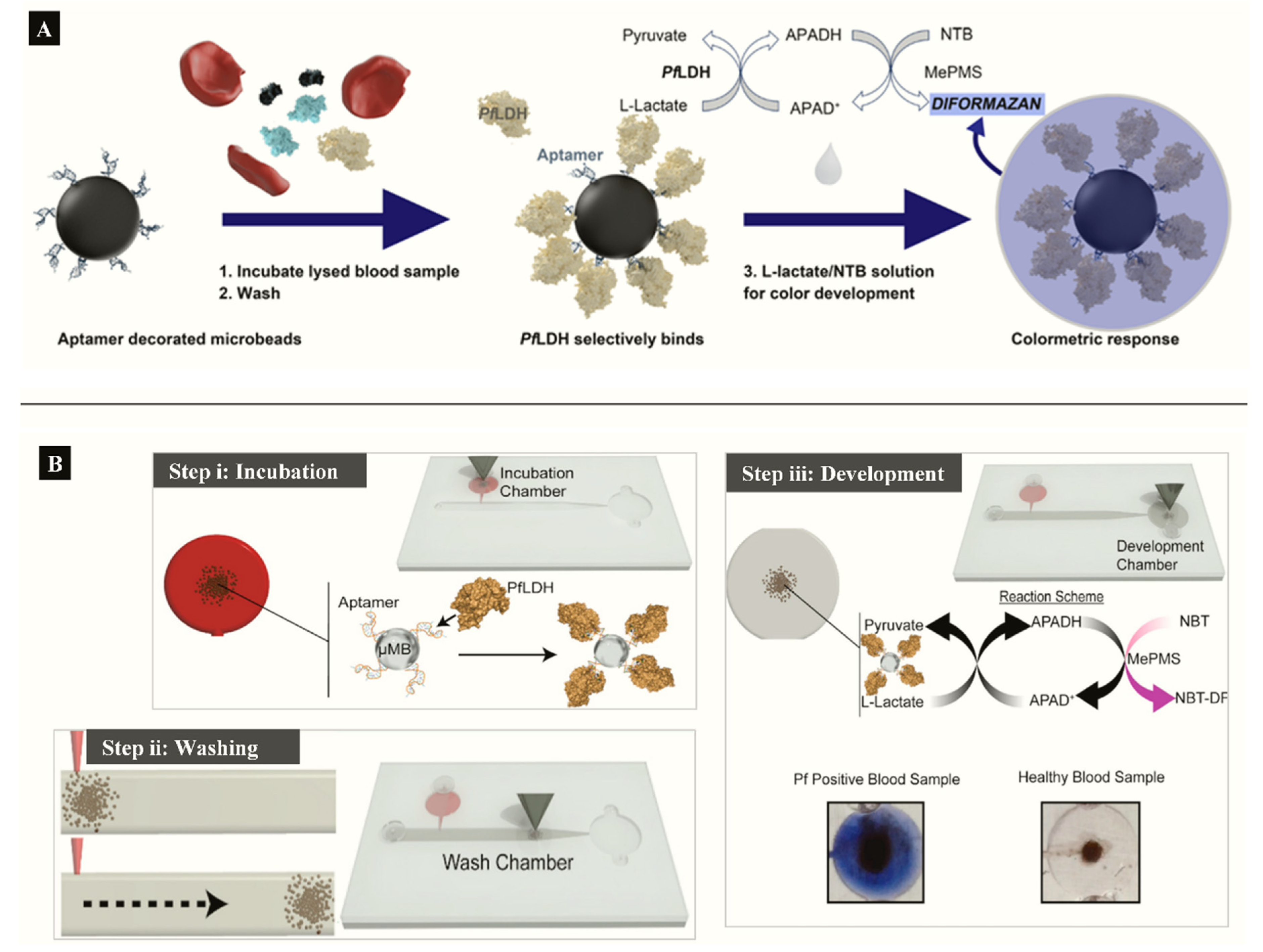 Sensors 20 00799 g004