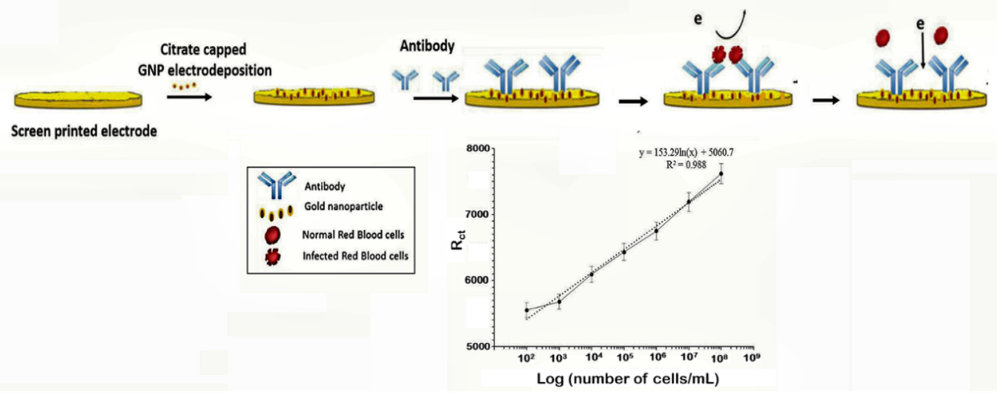 Sensors 20 00799 g006