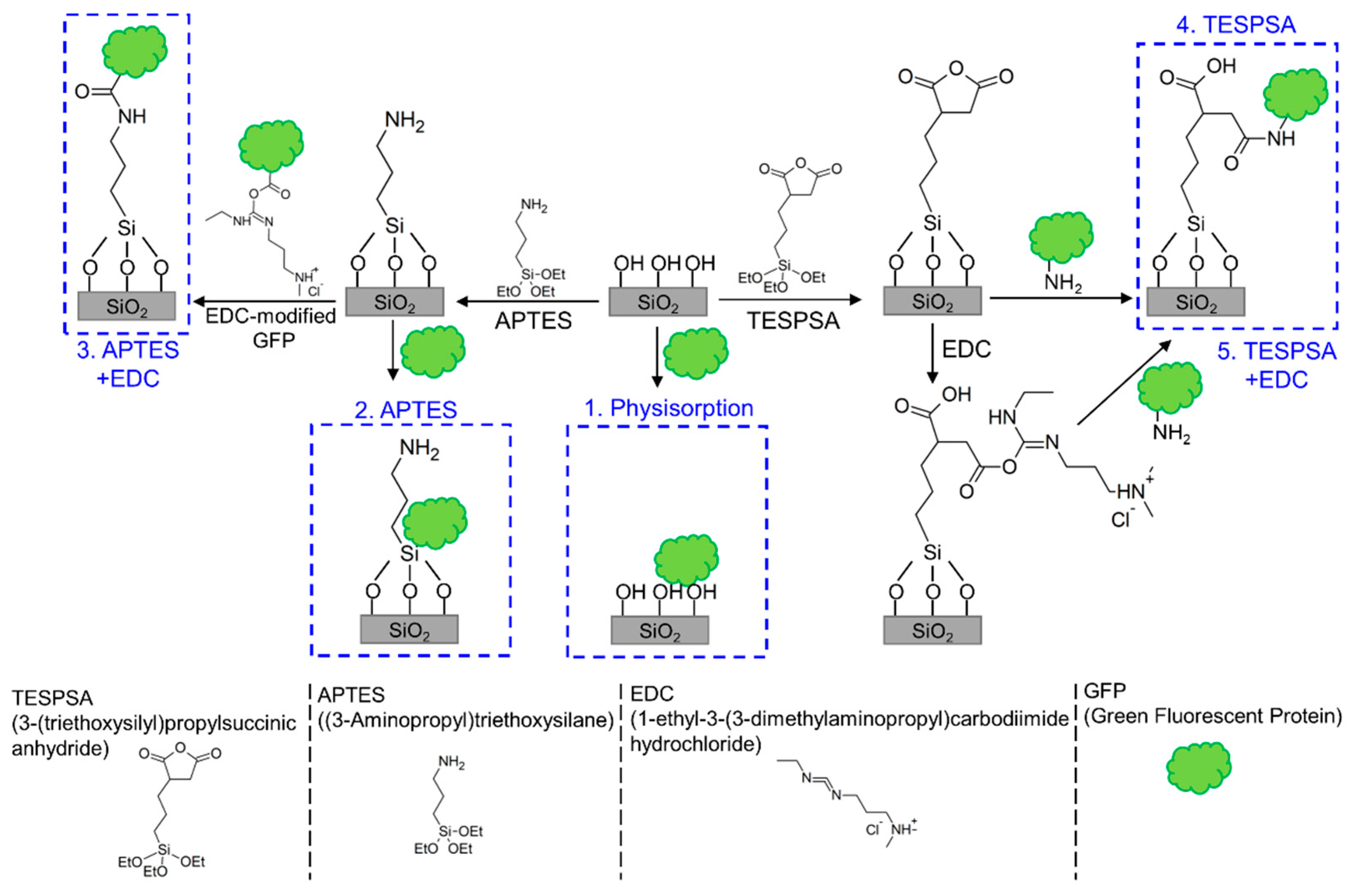 Sensors 20 00813 g002