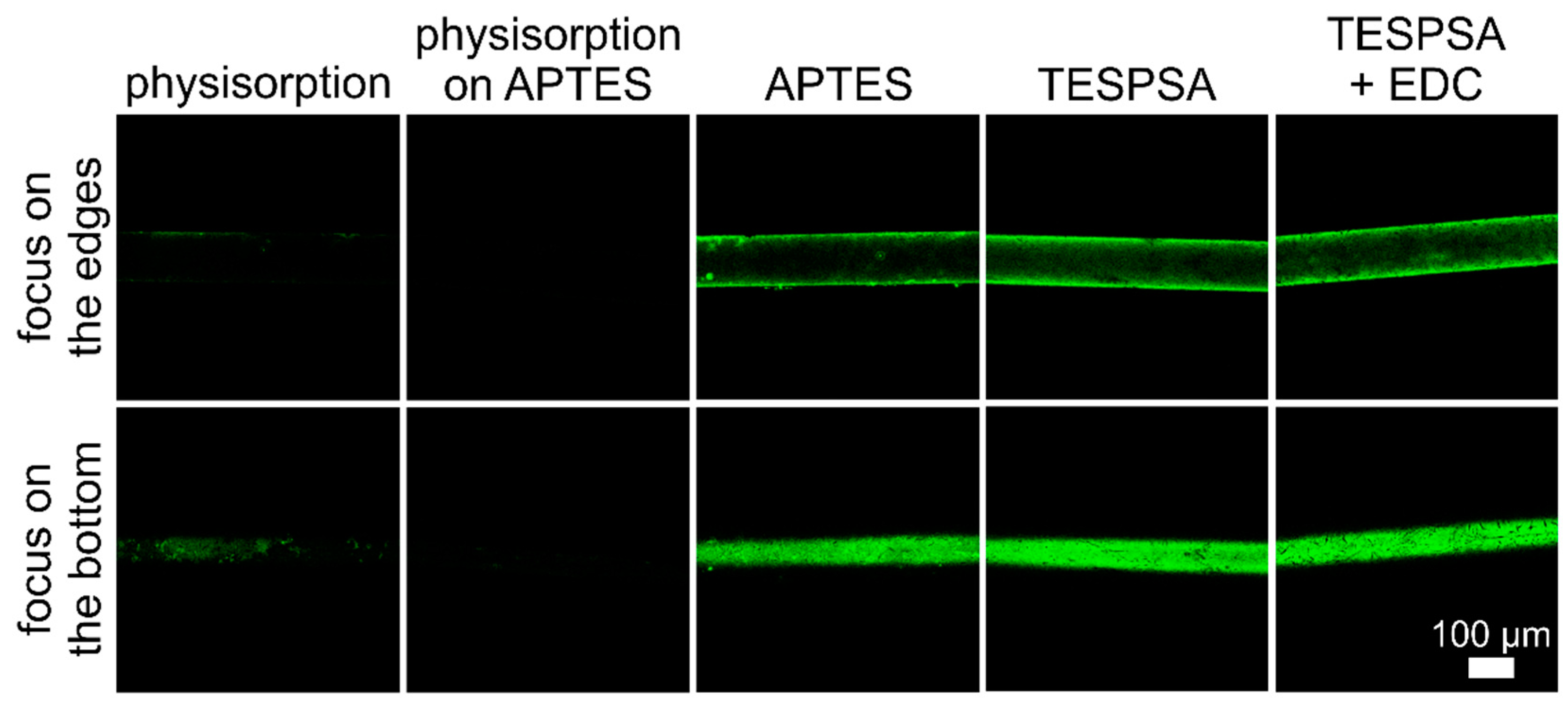 Sensors 20 00813 g003