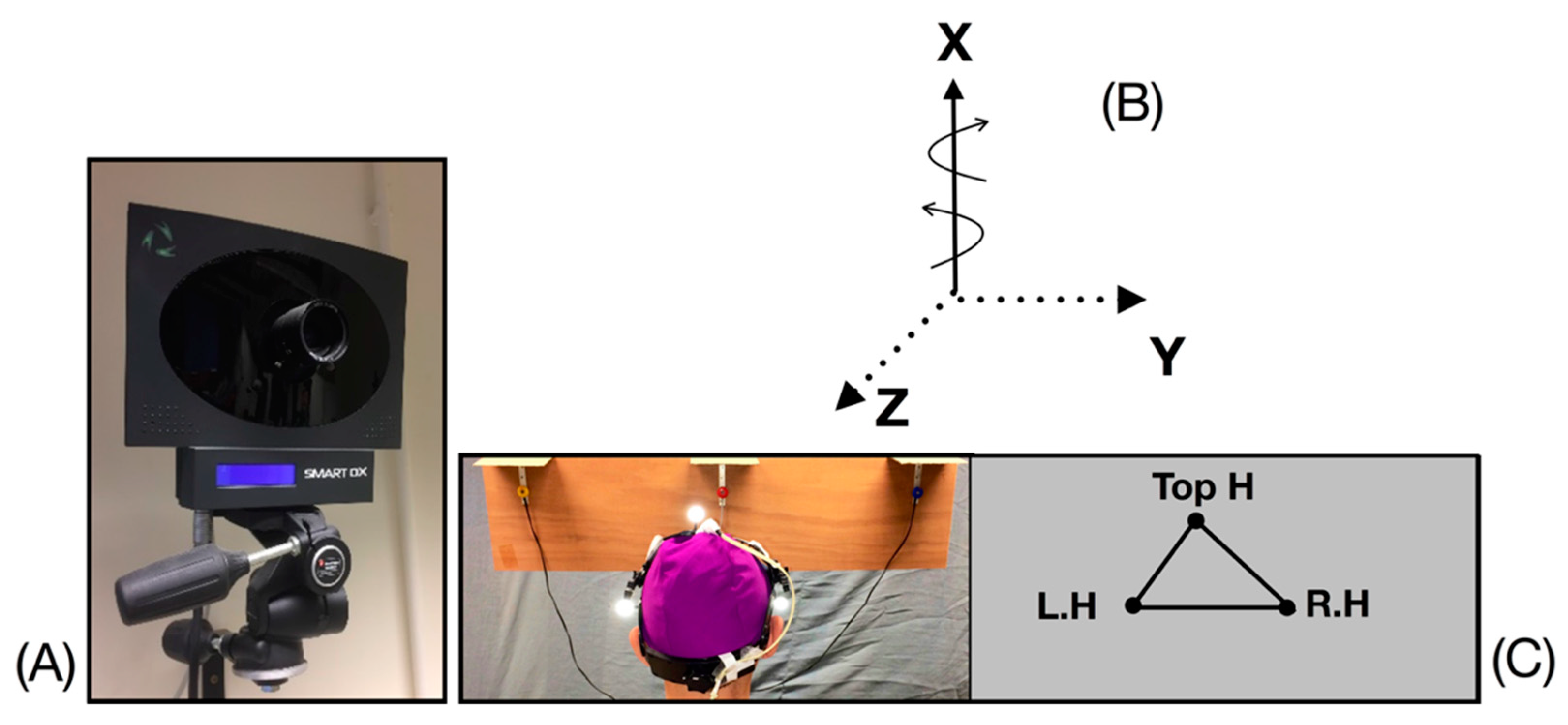 Sensors 20 00833 g002 Sensors 20 00833 g002