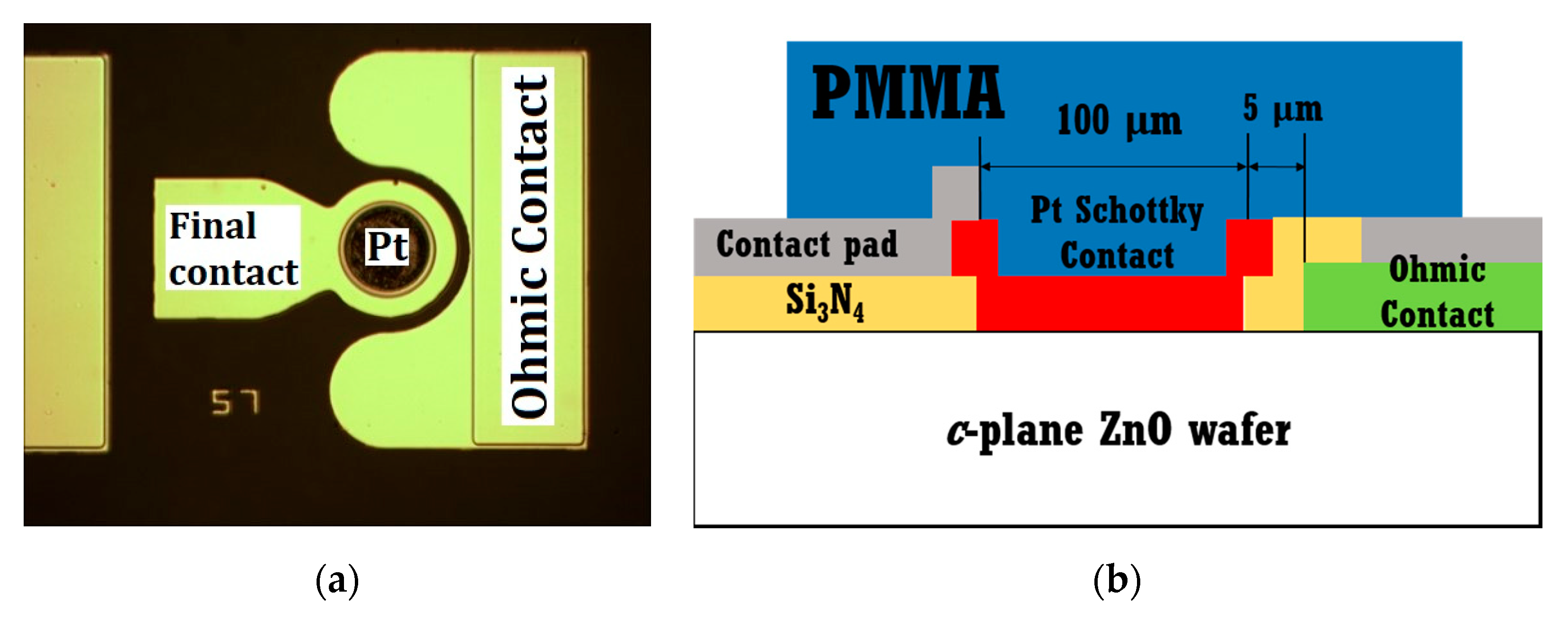 Sensors 20 00835 g002
