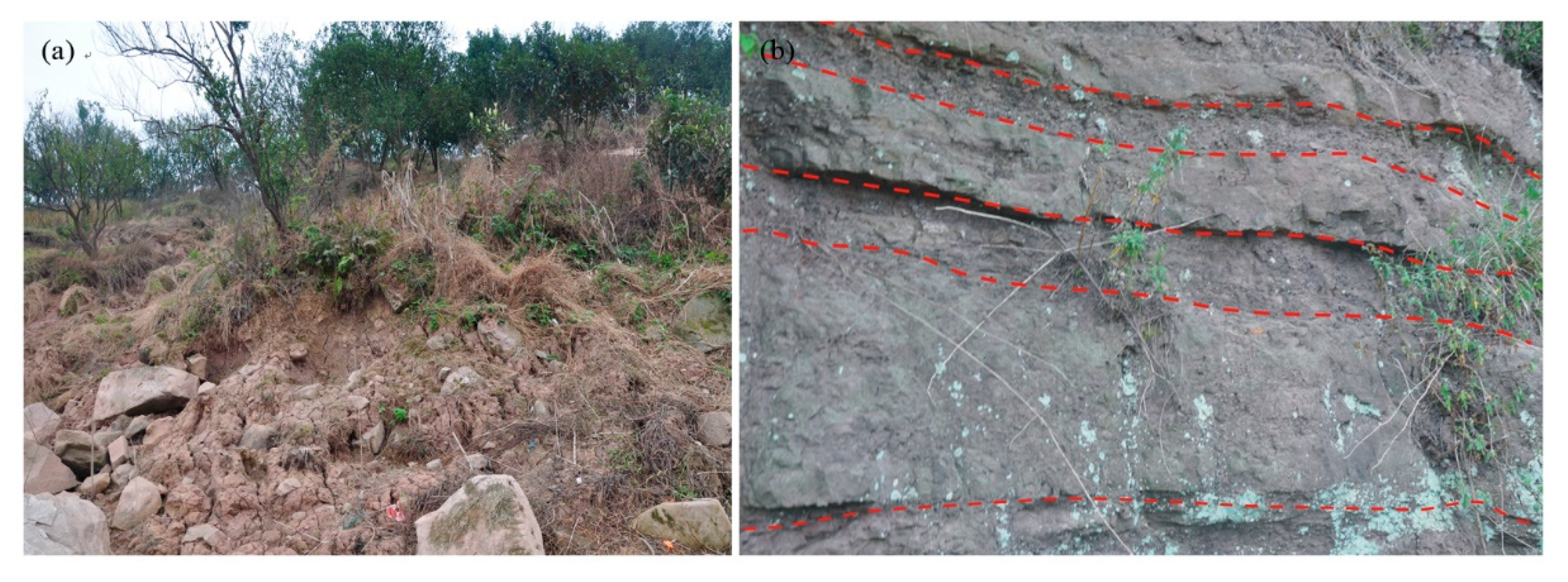 Sensors 20 00845 g006