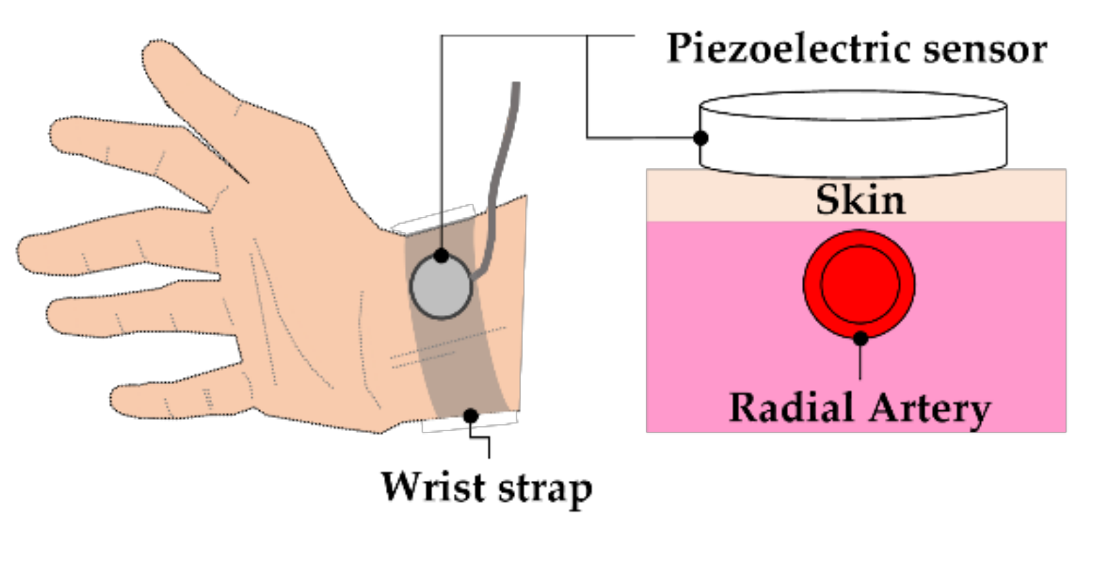 Sensors 20 00851 g004
