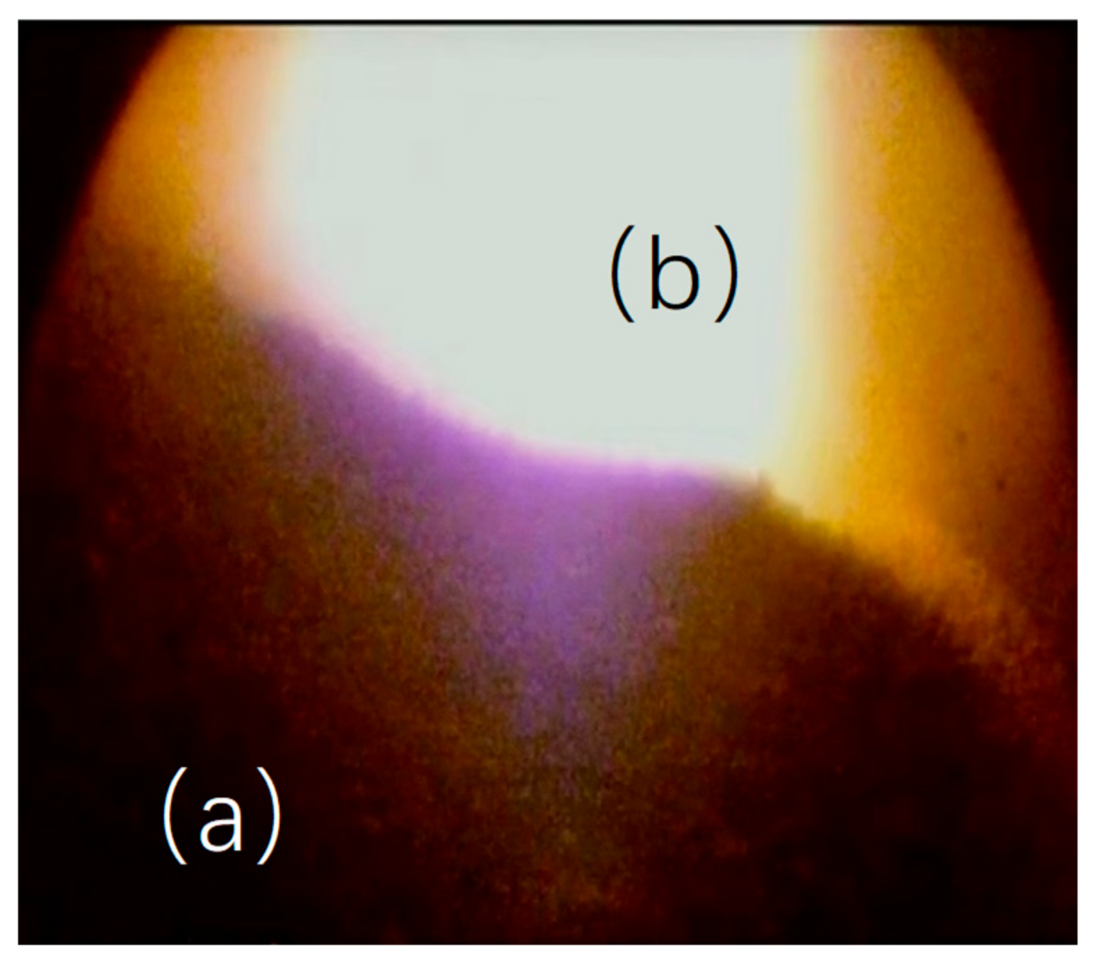 Sensors 20 00869 g012 Sensors 20 00869 g012