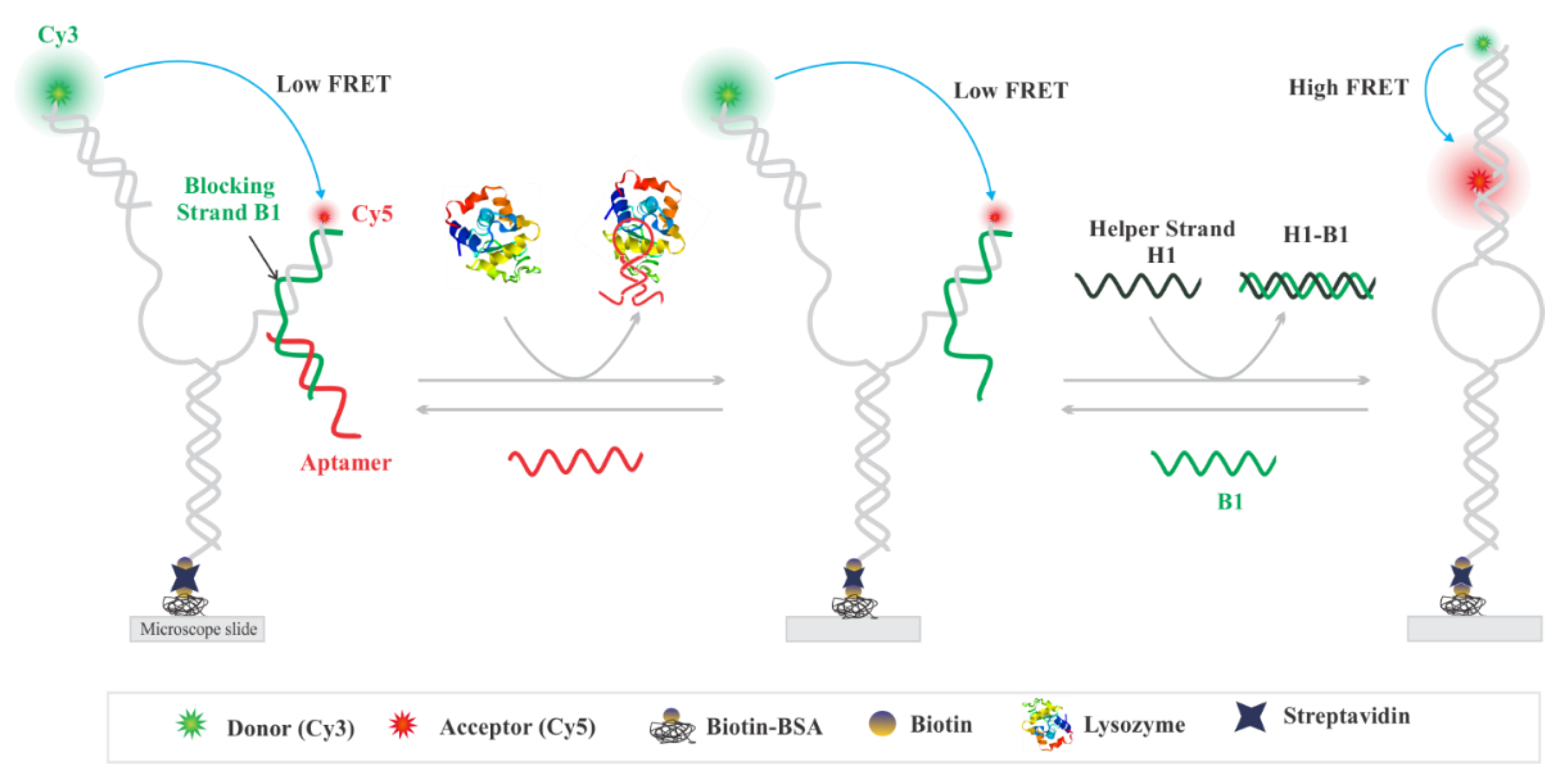 Sensors 20 00914 g001