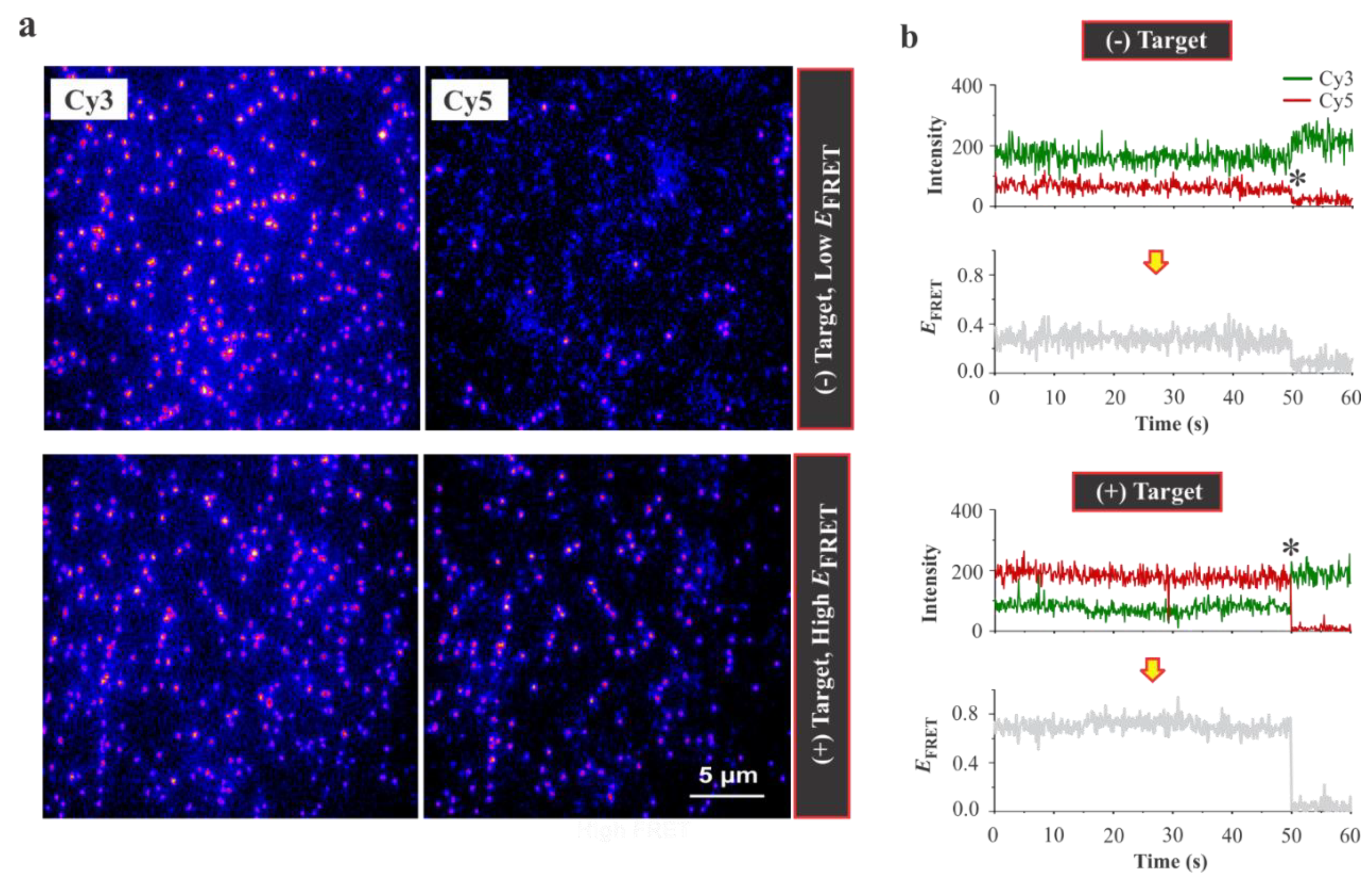 Sensors 20 00914 g002