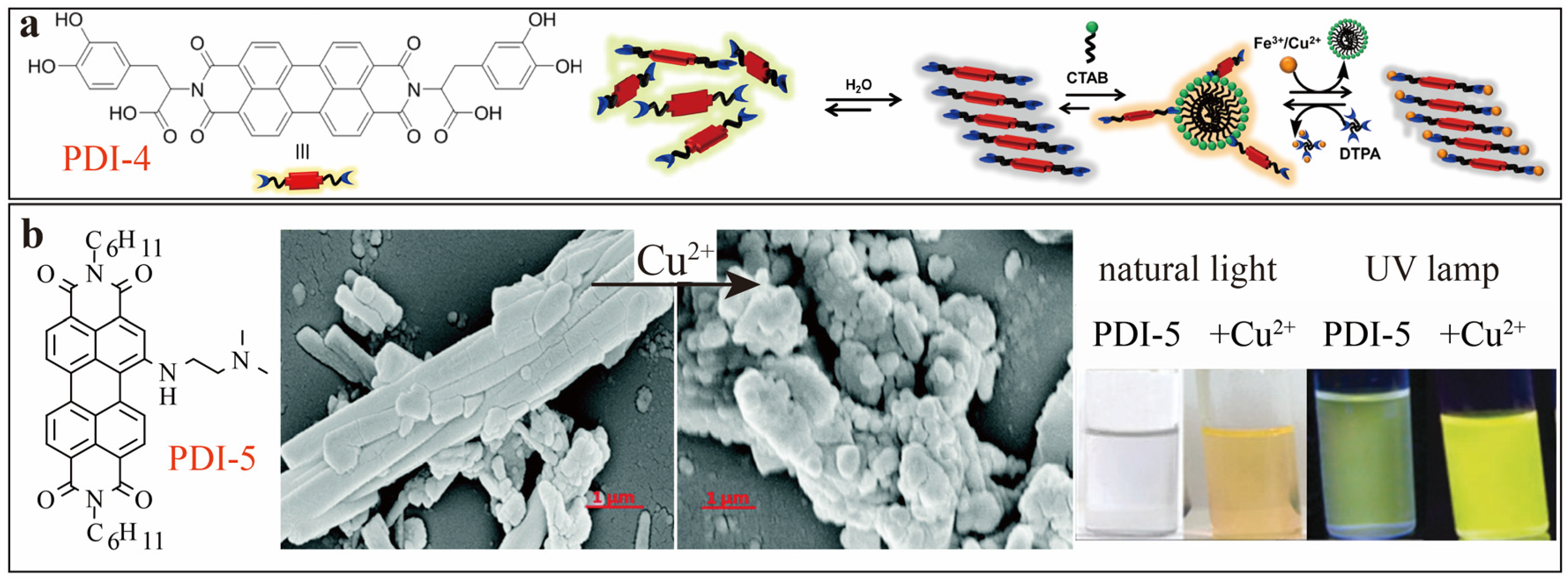 Sensors 20 00917 g003
