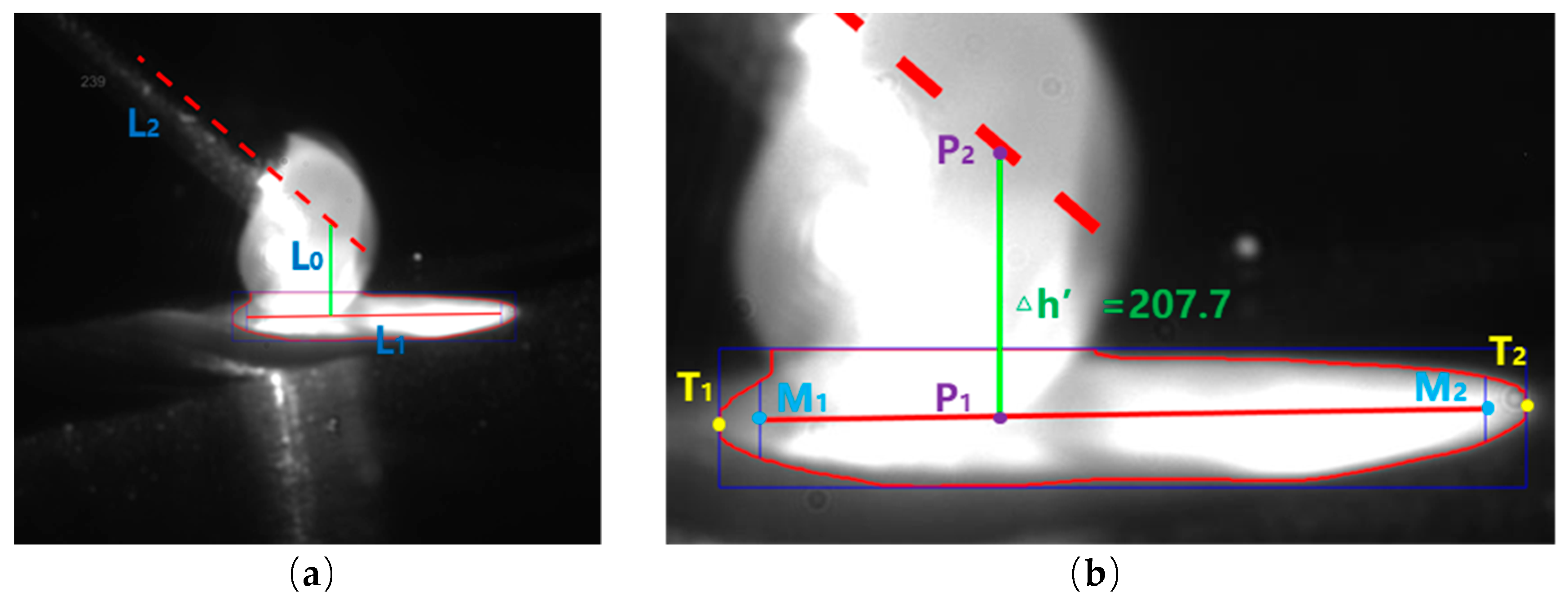 Sensors 20 00923 g006 Sensors 20 00923 g006