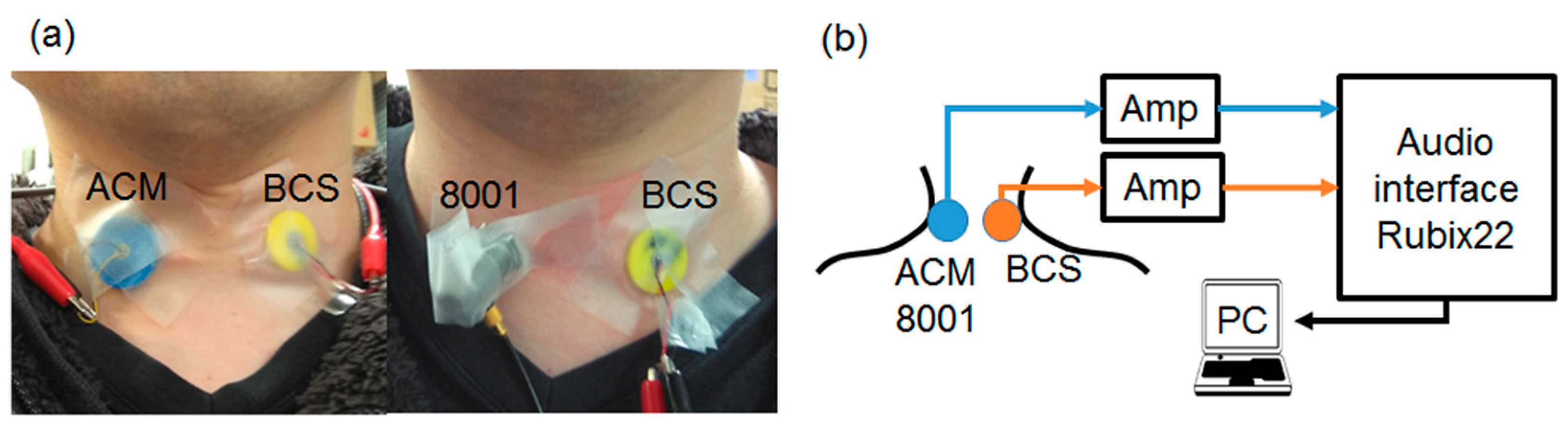 Sensors 20 00942 g005a Sensors 20 00942 g005a