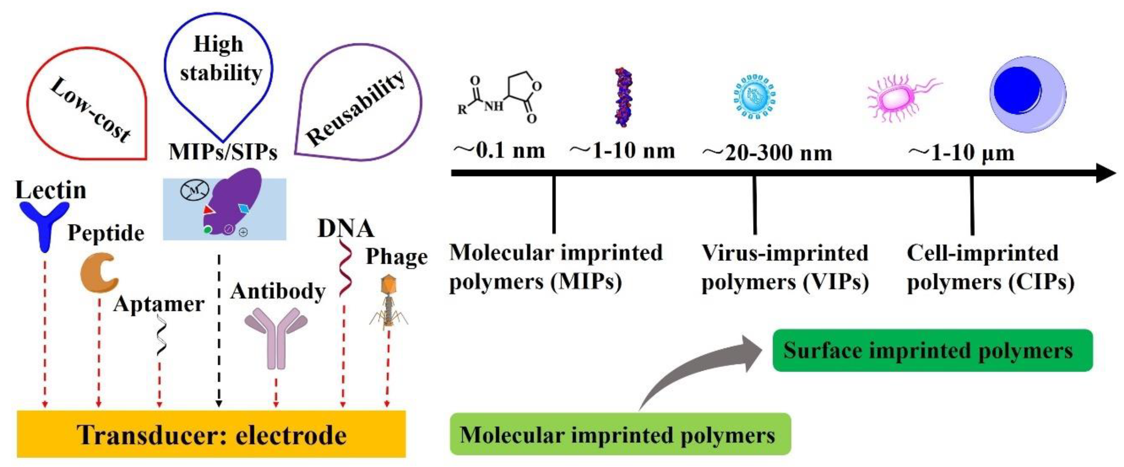 Sensors 20 00996 g001 Sensors 20 00996 g001