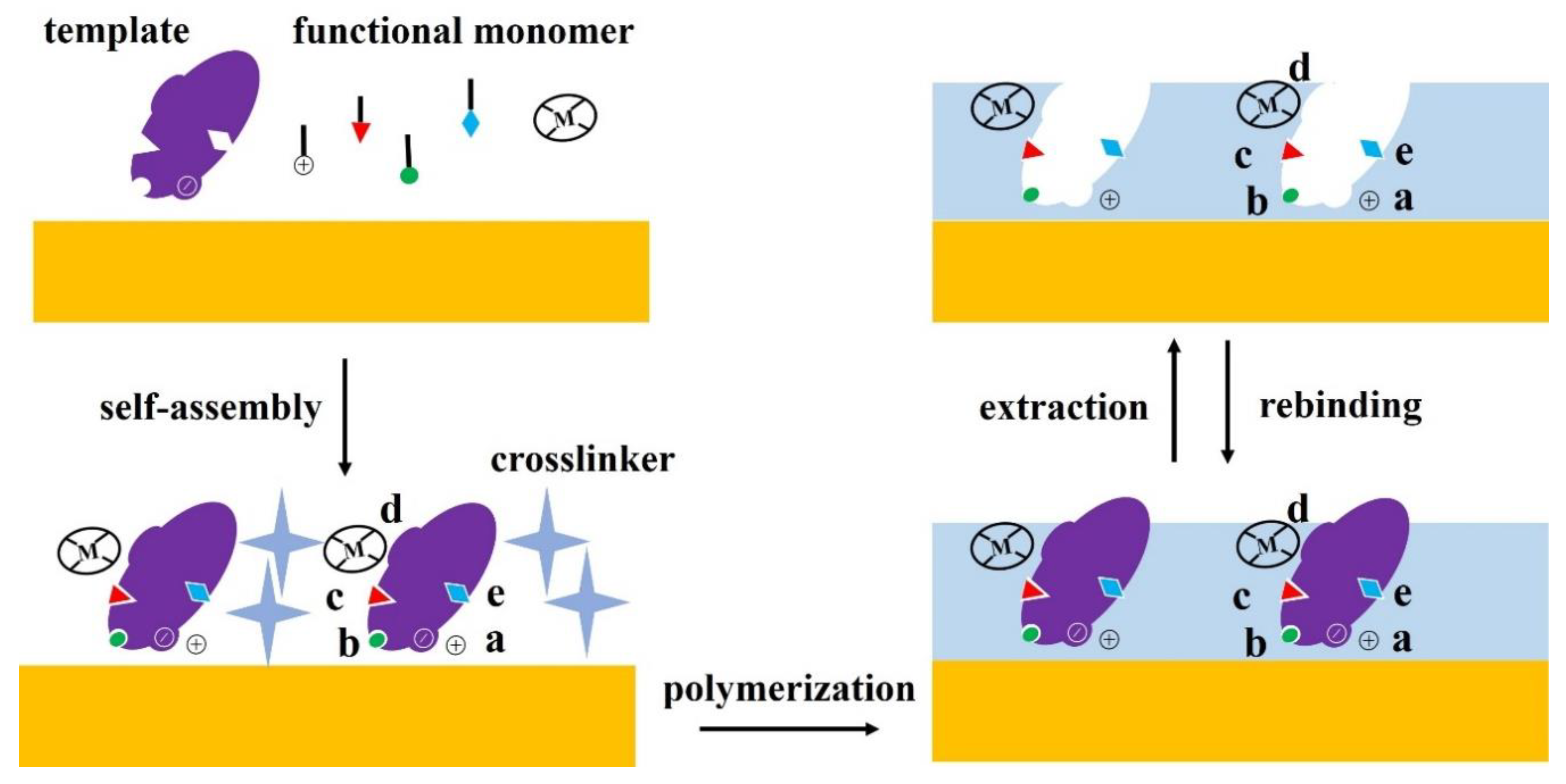 Sensors 20 00996 g002 Sensors 20 00996 g002