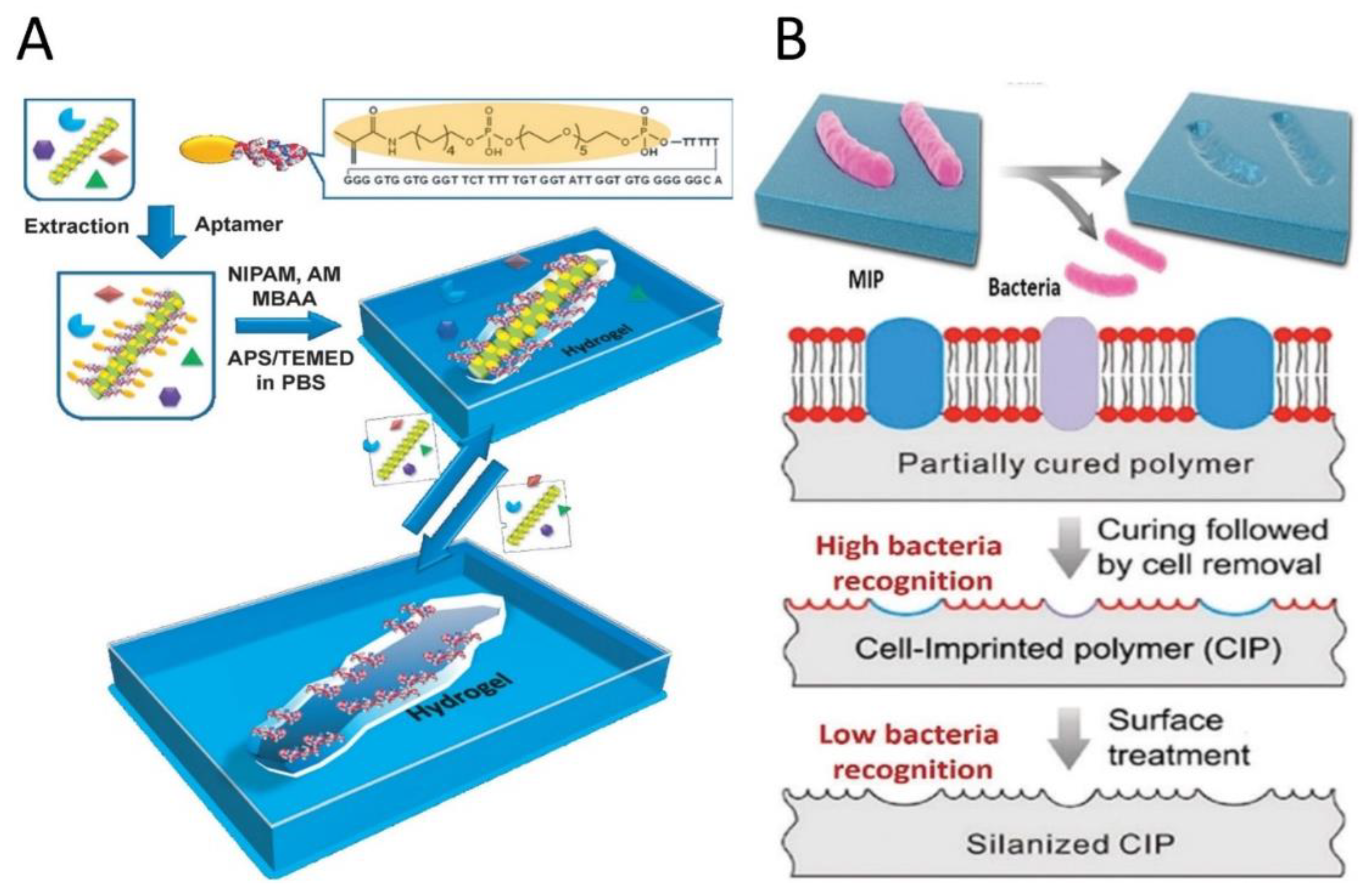 Sensors 20 00996 g004 Sensors 20 00996 g004
