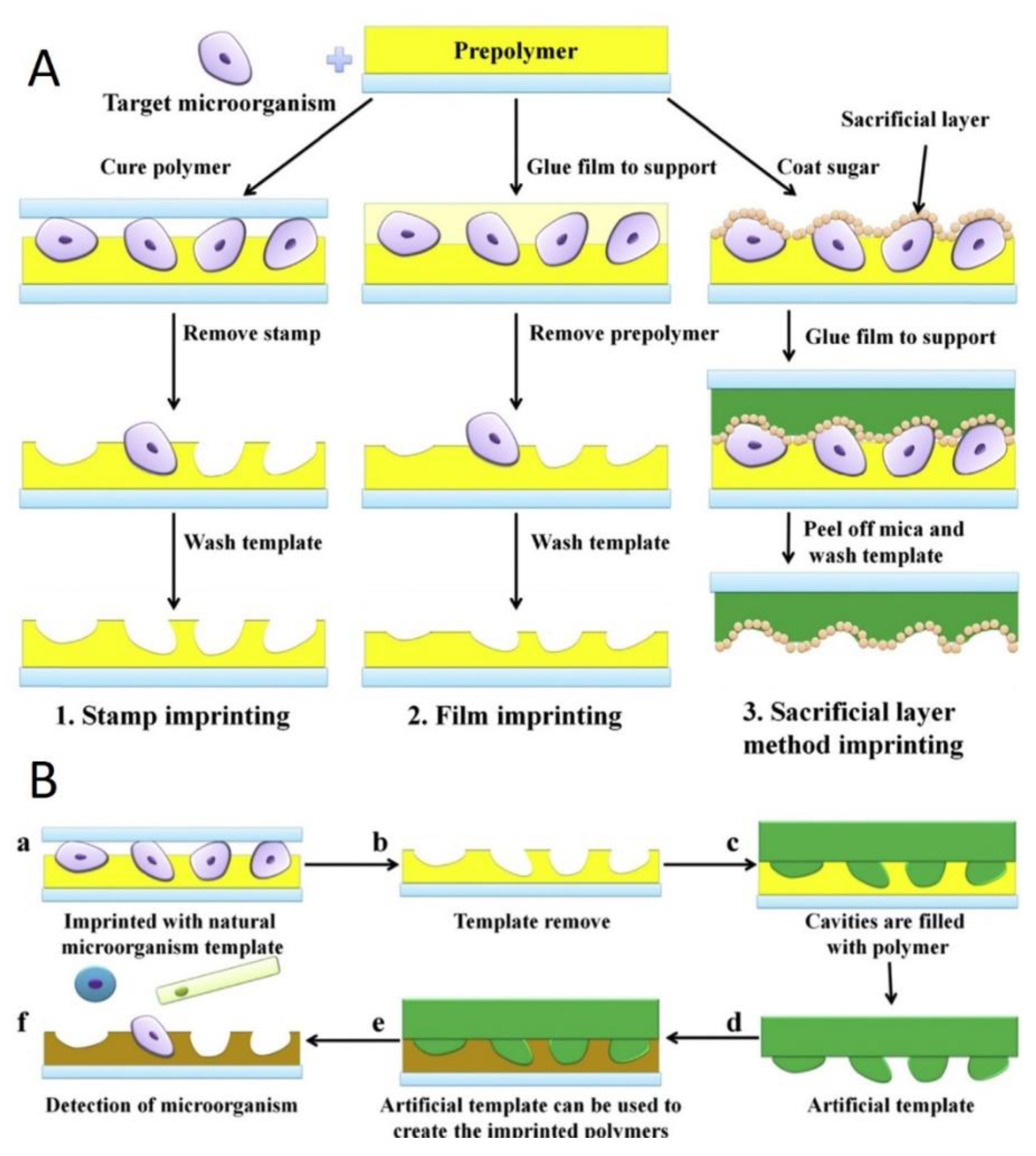 Sensors 20 00996 g006 Sensors 20 00996 g006