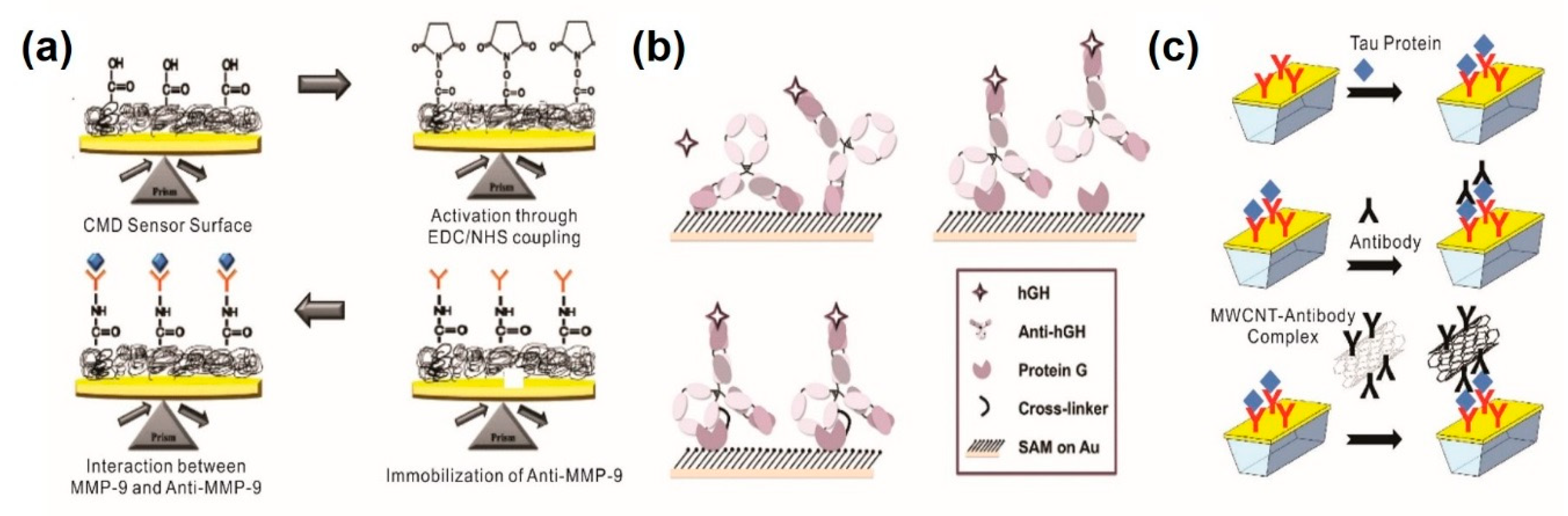 Sensors 20 01003 g001