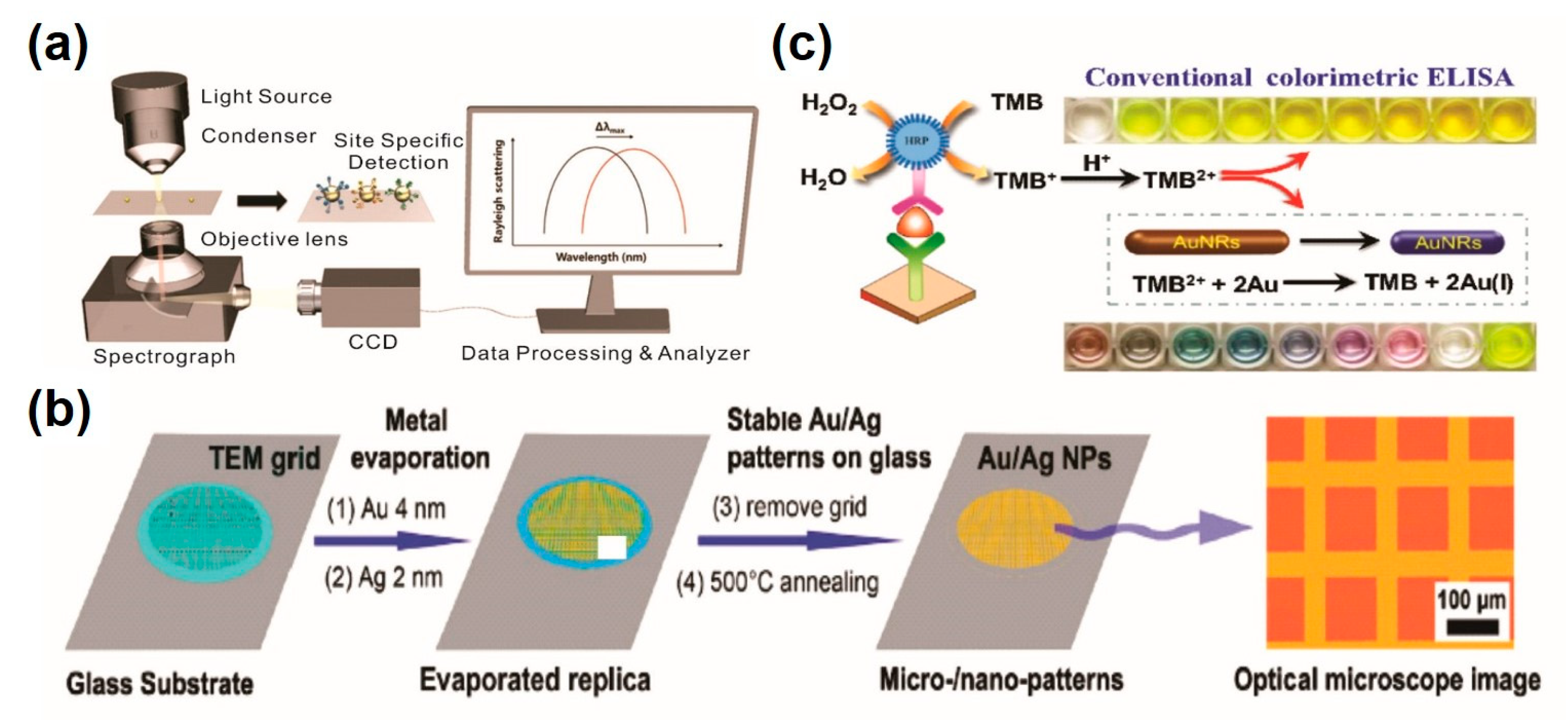 Sensors 20 01003 g002