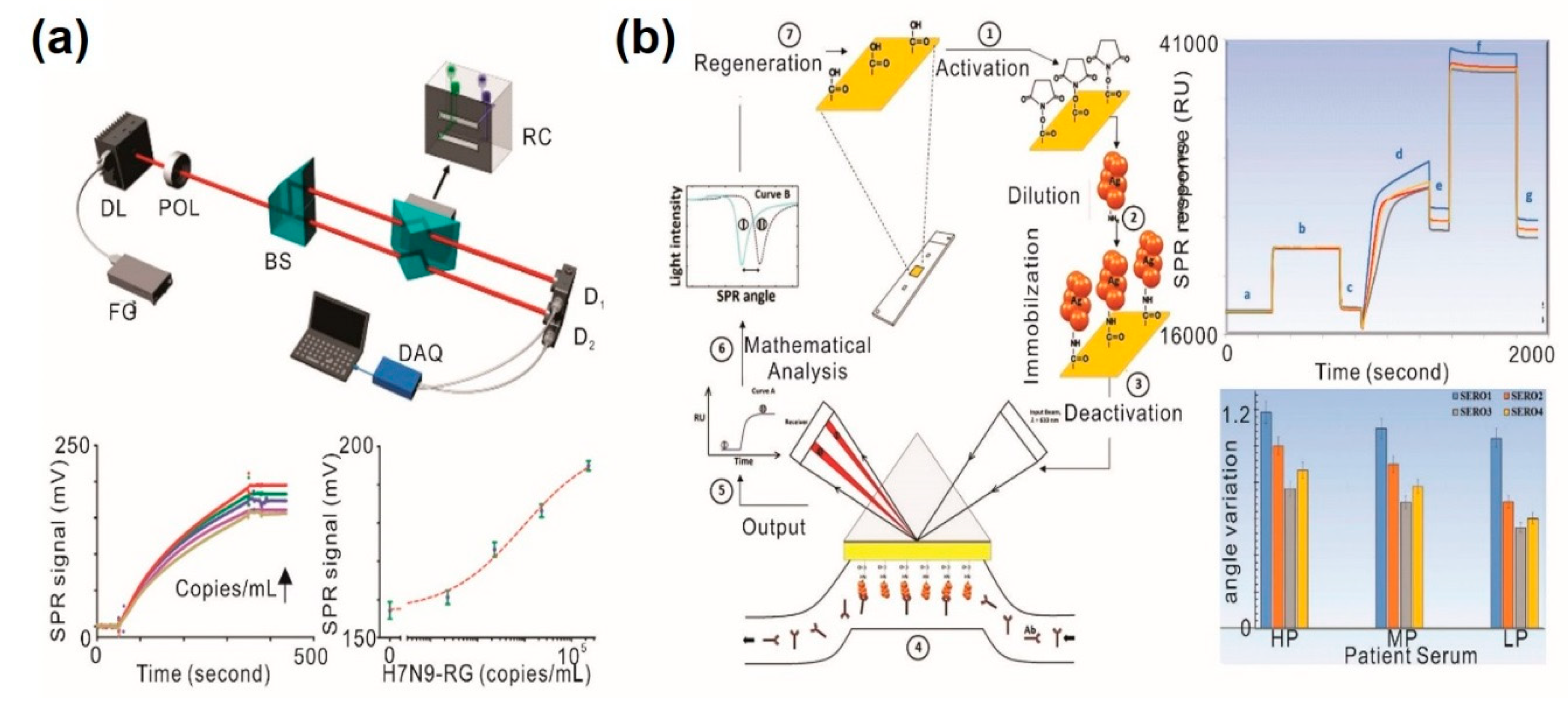 Sensors 20 01003 g003