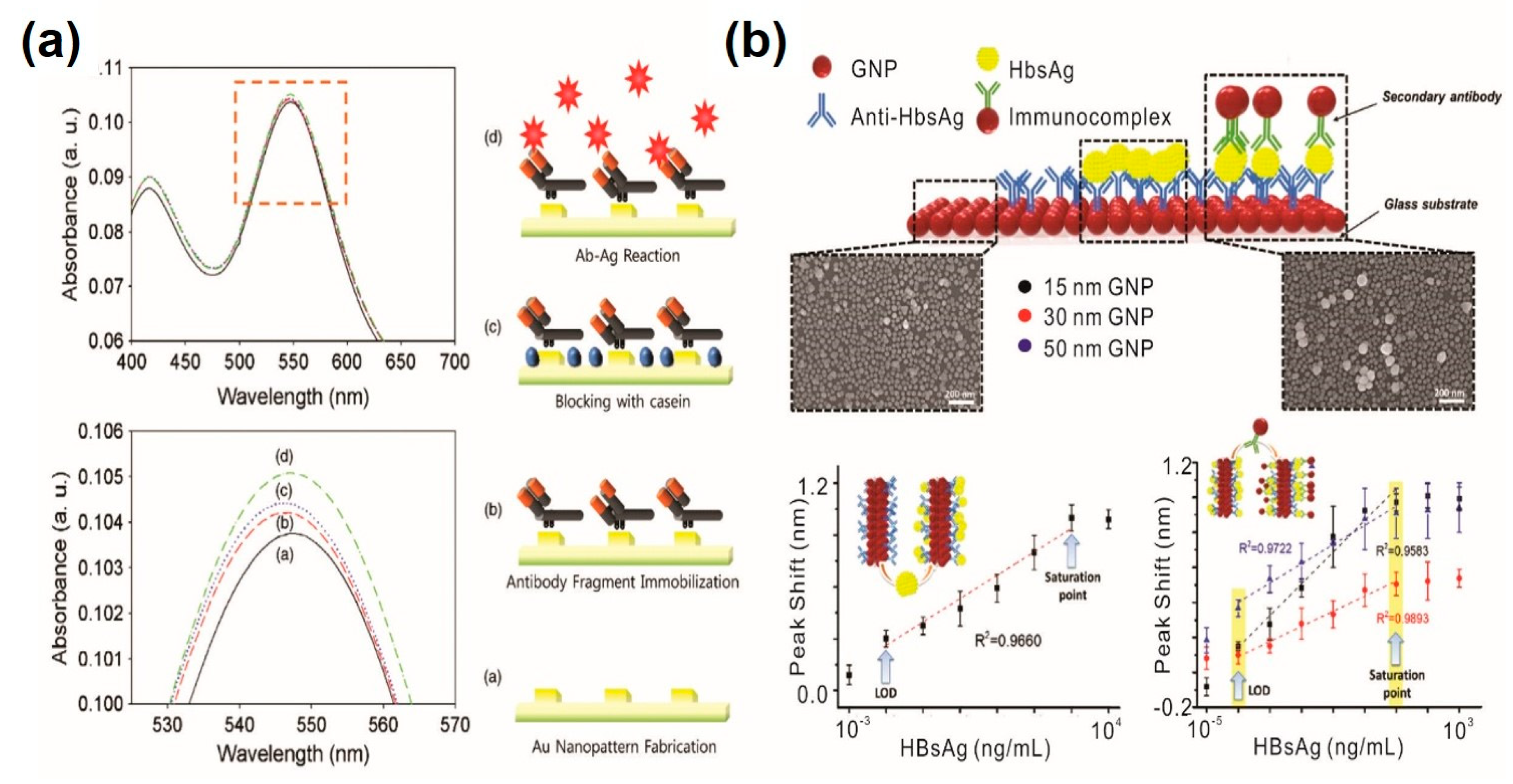 Sensors 20 01003 g004