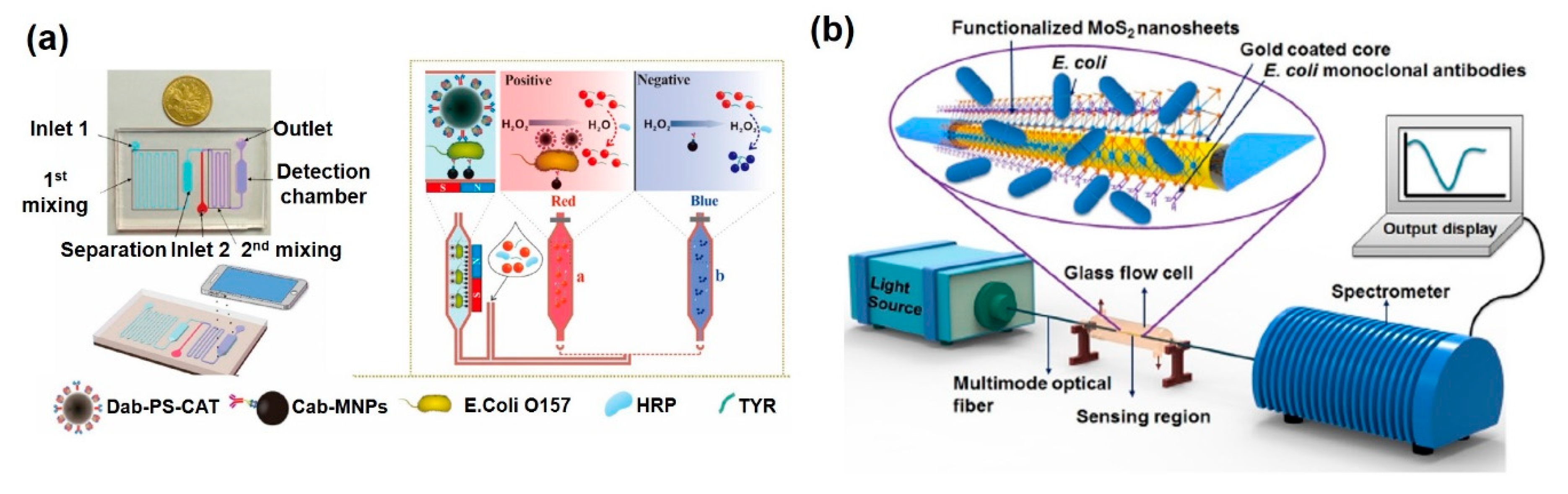 Sensors 20 01003 g006