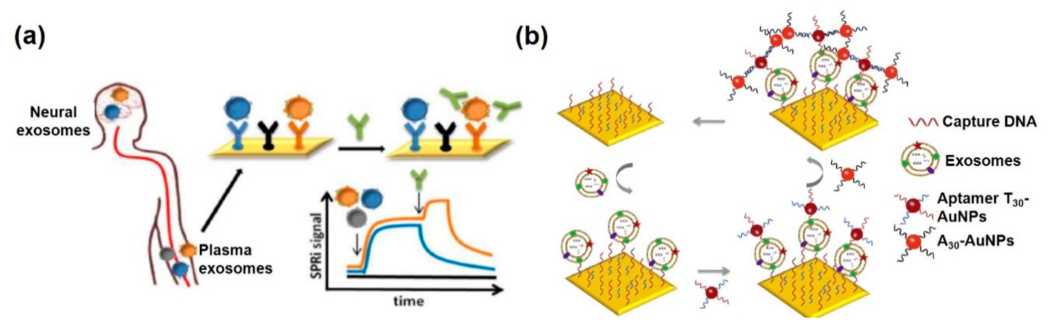 Sensors 20 01003 g007