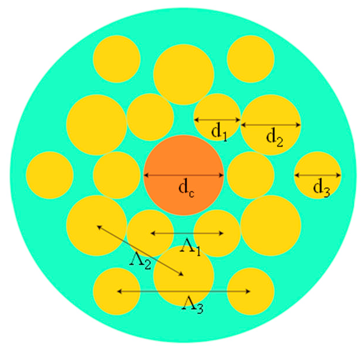 Sensors 20 01007 g001