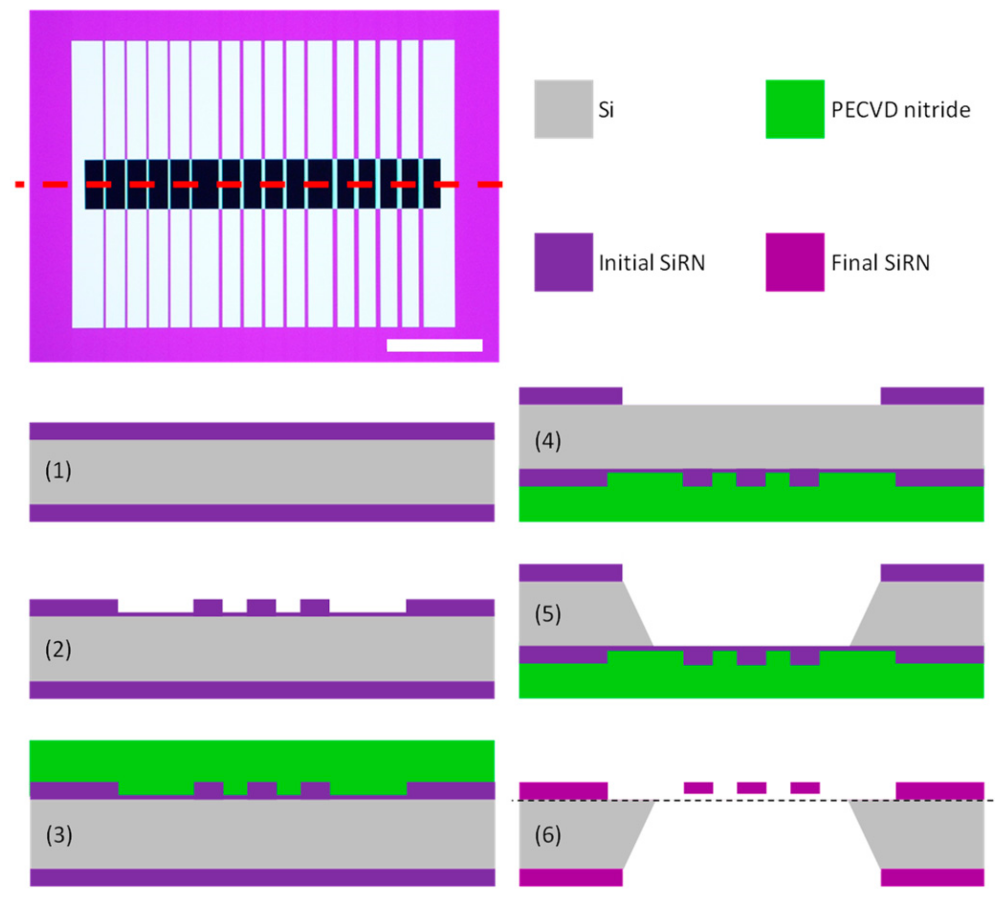Sensors 20 01019 g001