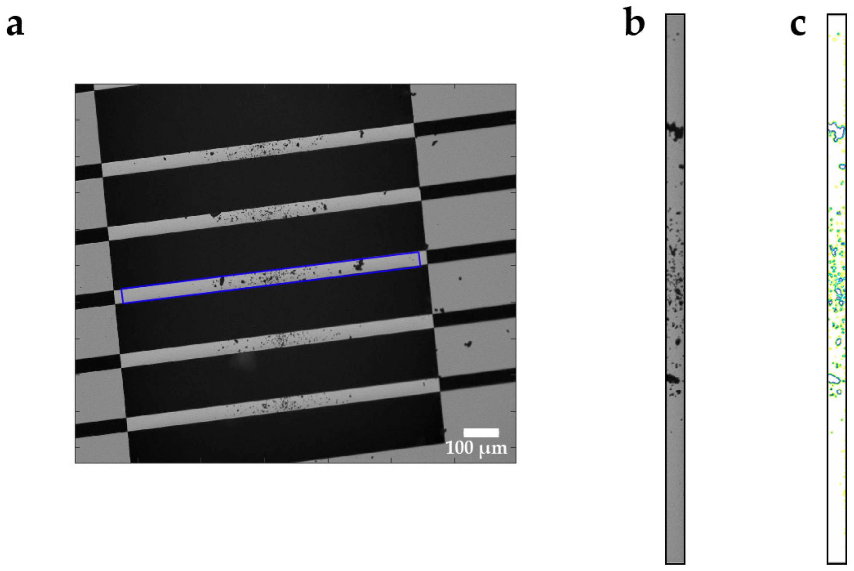 Sensors 20 01019 g005