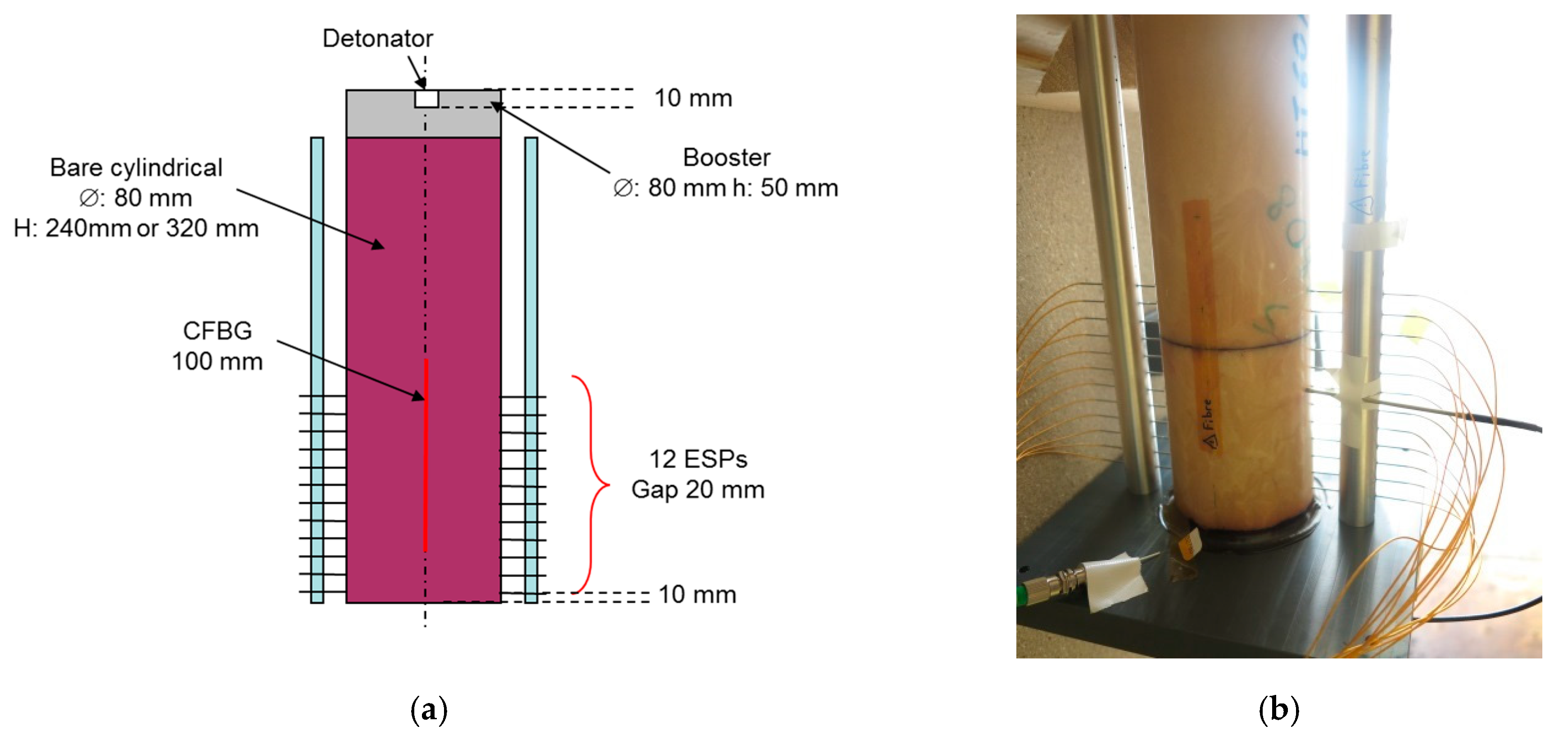 Sensors 20 01026 g022