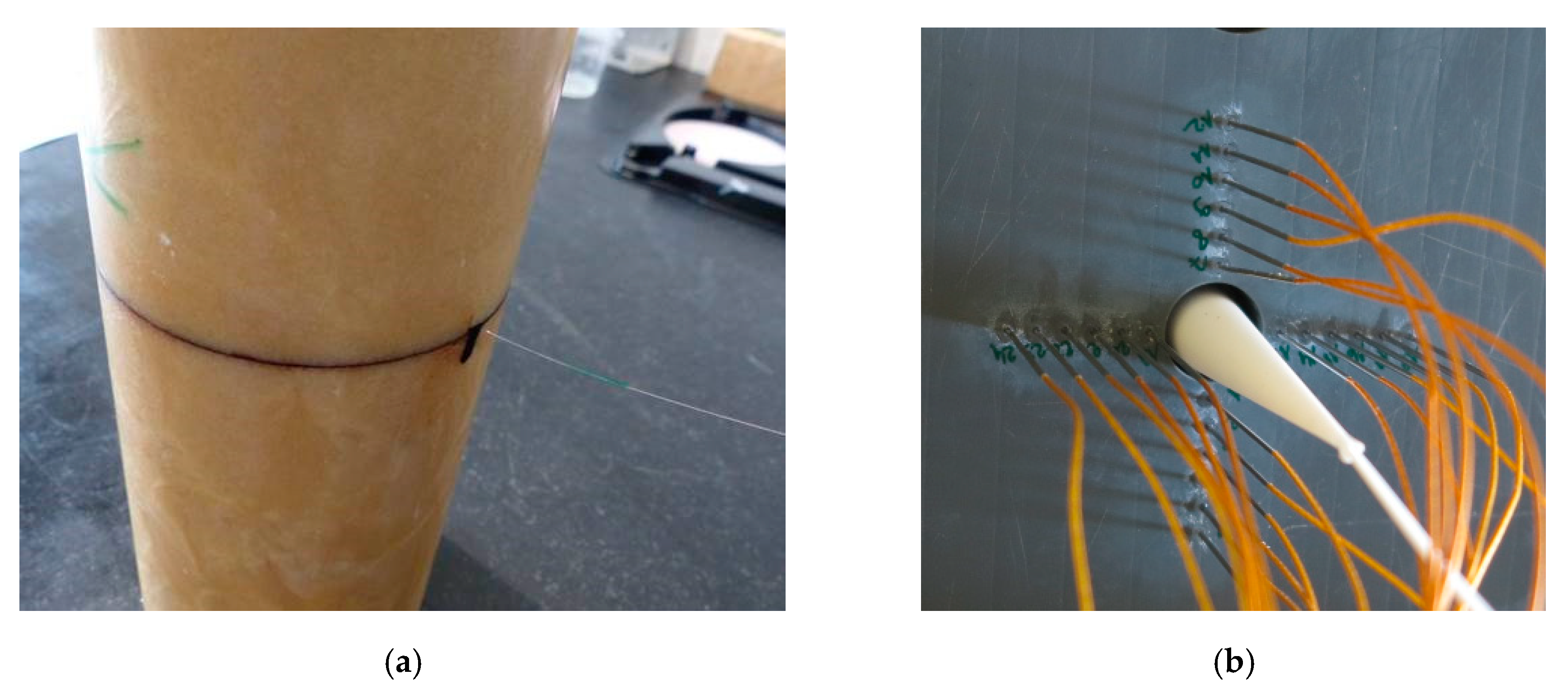 Sensors 20 01026 g039