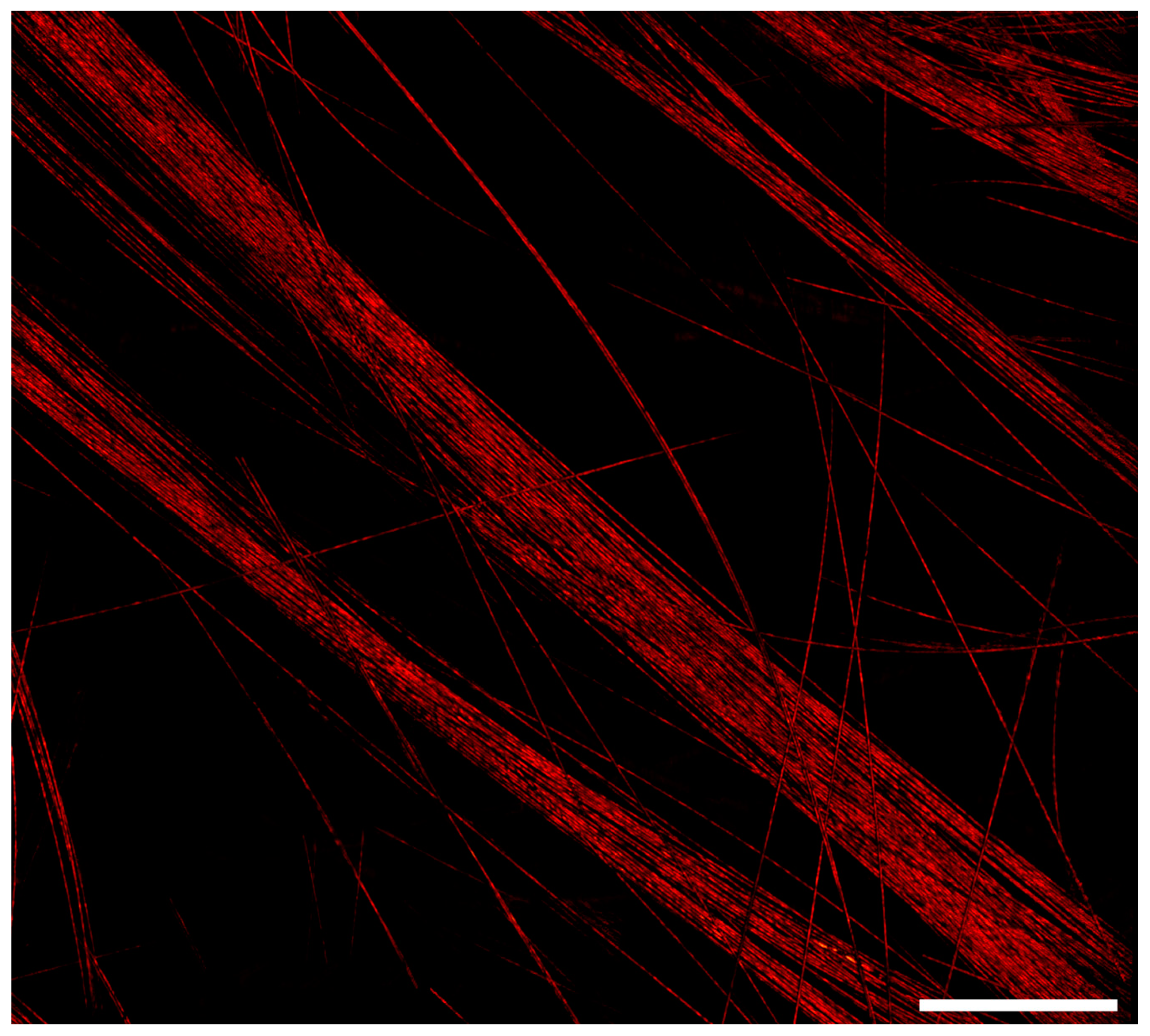 Sensors 20 01027 g004