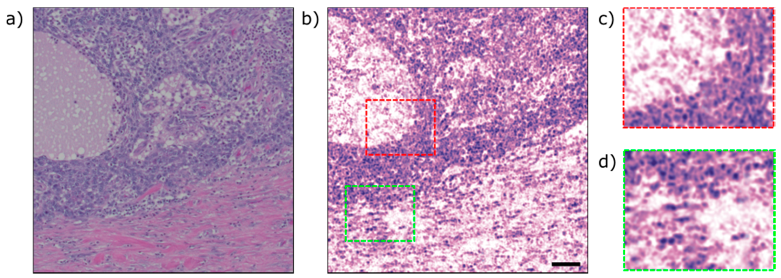 Sensors 20 01027 g005