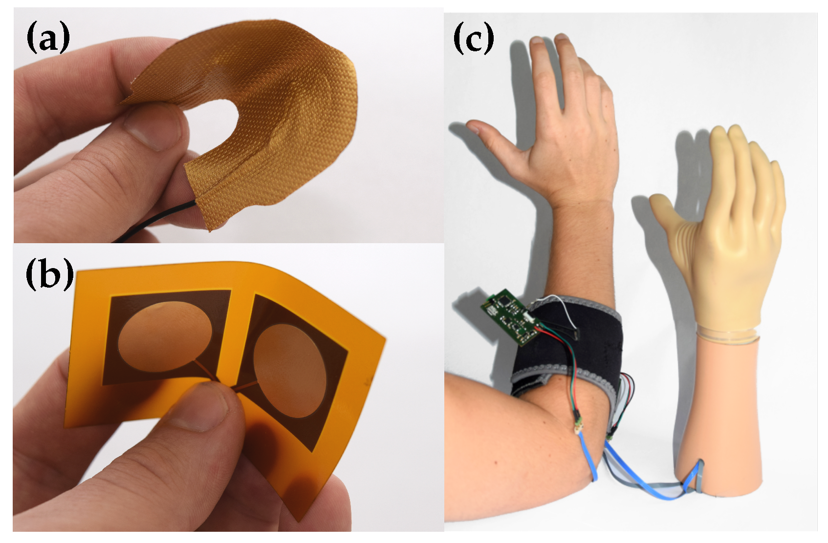 Sensors 20 01031 g003 Sensors 20 01031 g003