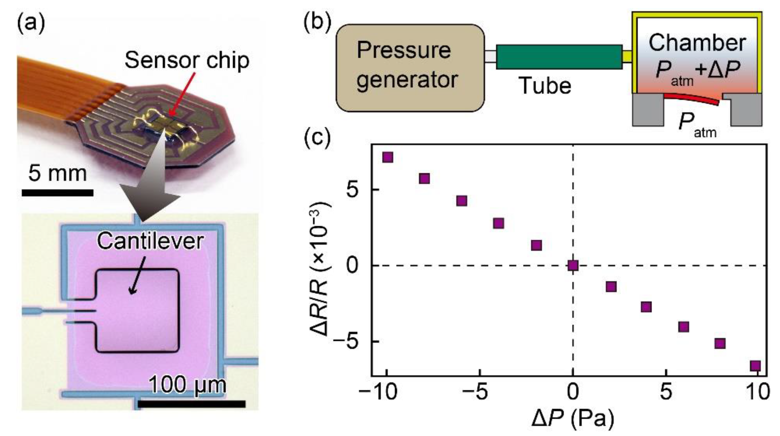 Sensors 20 01052 g002