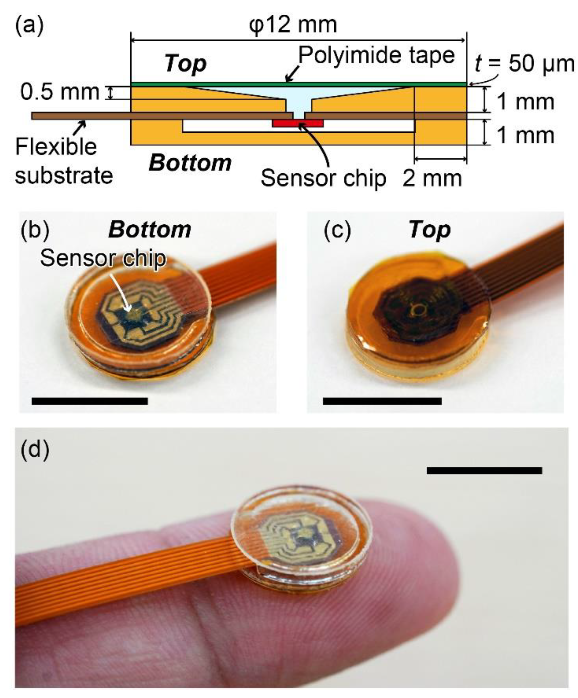 Sensors 20 01052 g003
