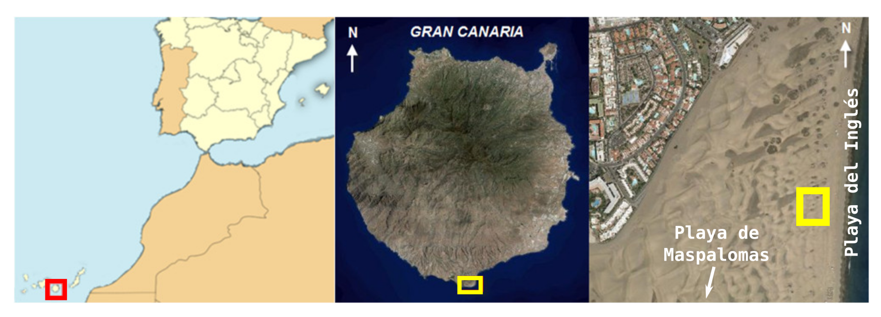 Sensors 20 01064 g008