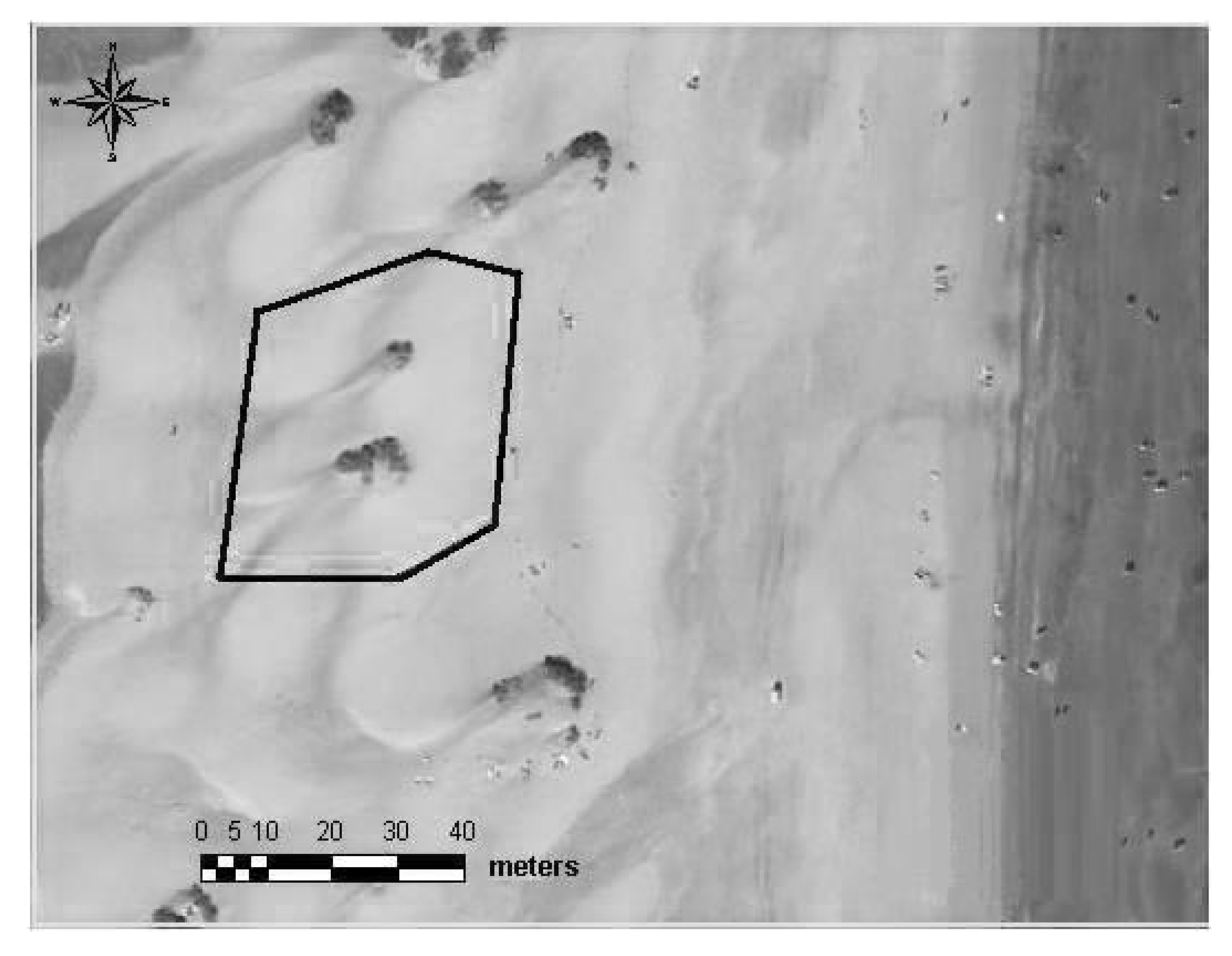 Sensors 20 01064 g009