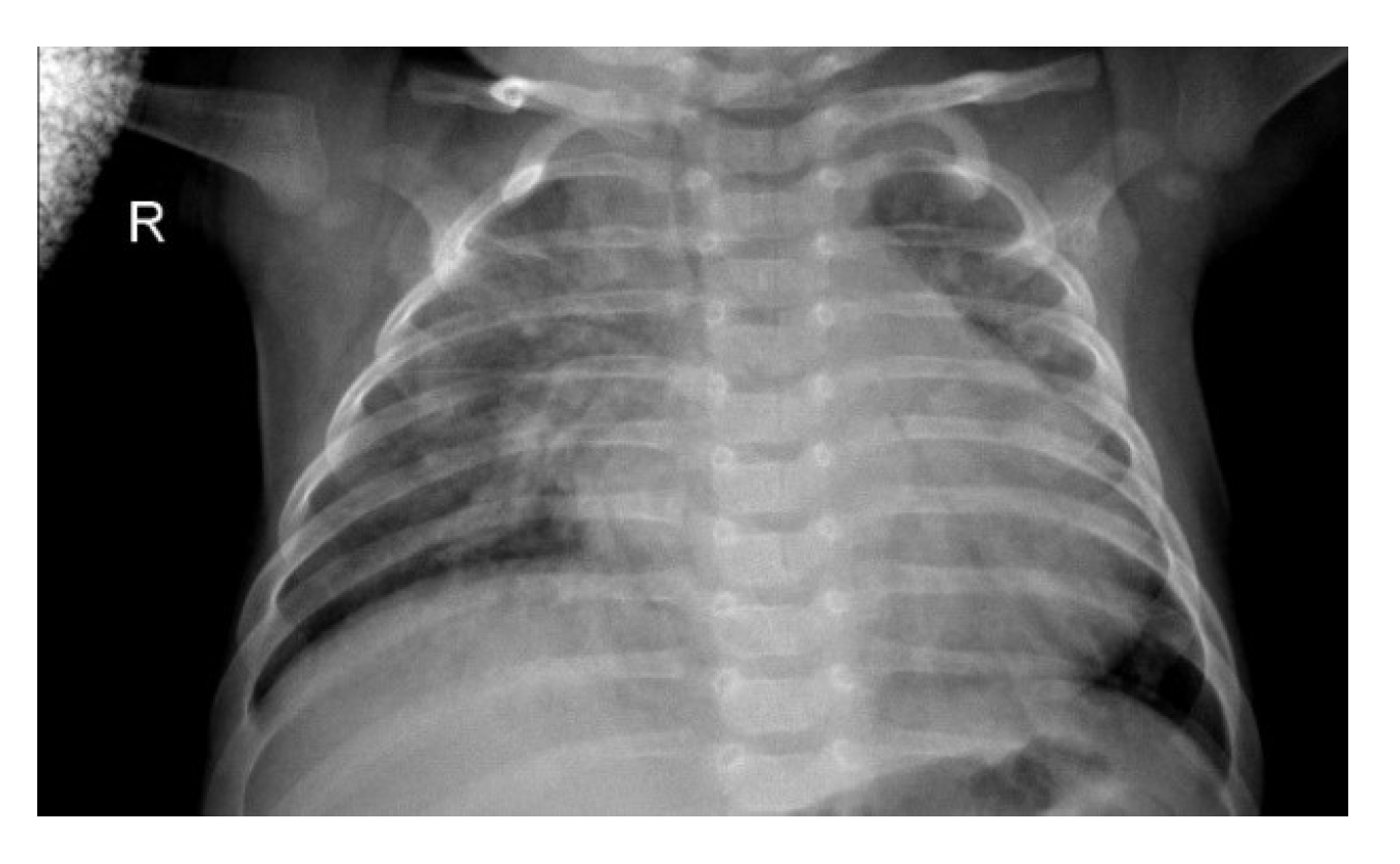 Sensors 20 01068 g001