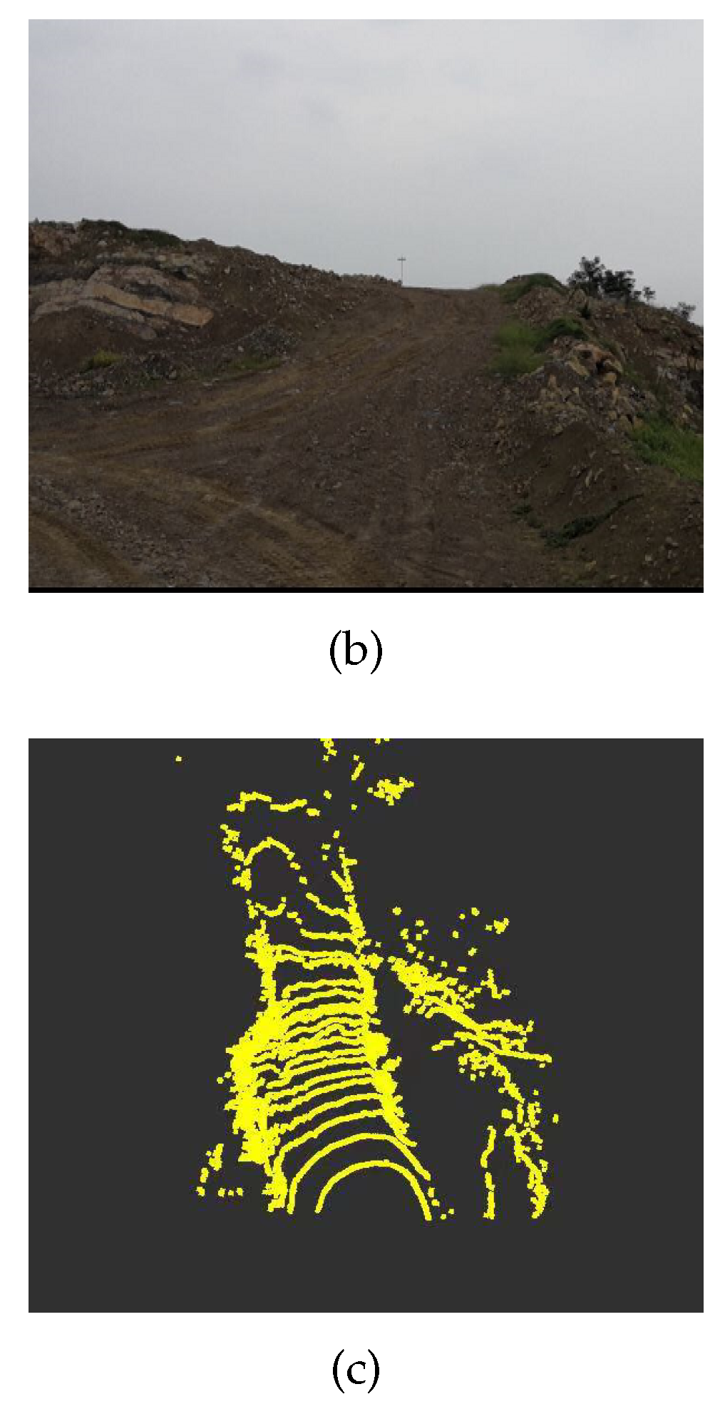 Sensors 20 01121 g002b