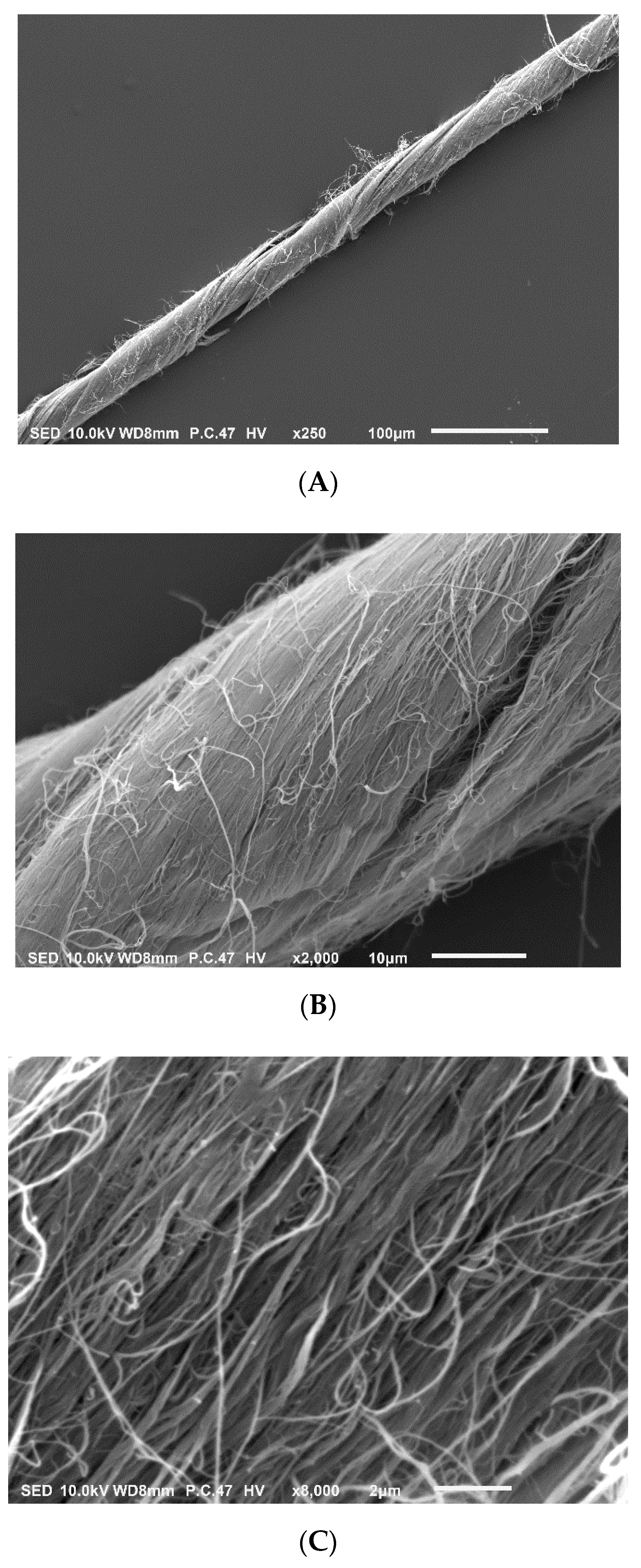 Sensors 20 01173 g001