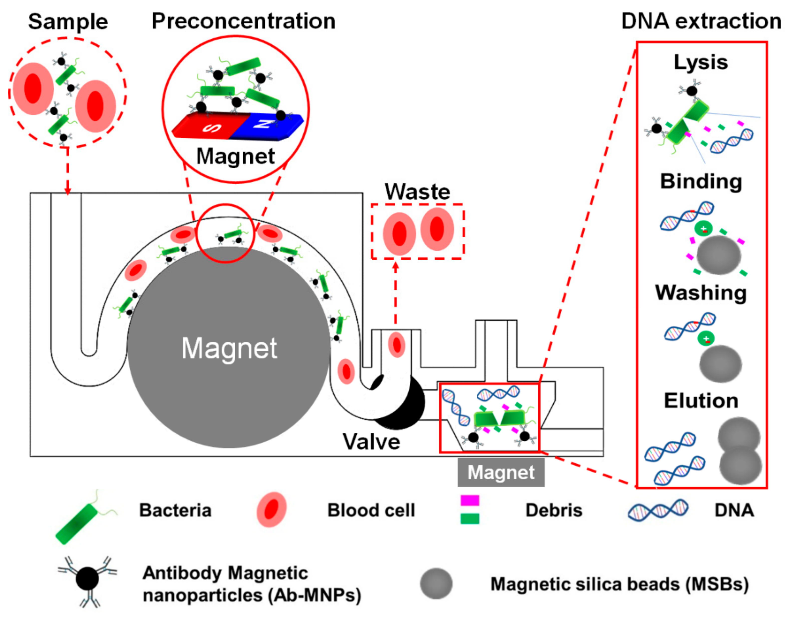 Sensors 20 01202 g001